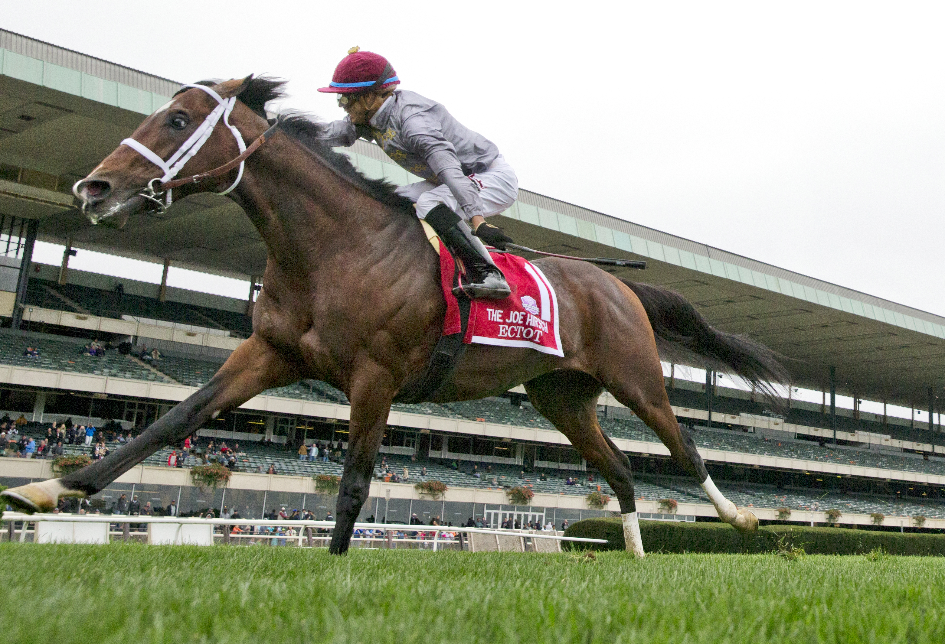 Ectot wins the Joe Hirsch Turf Classic