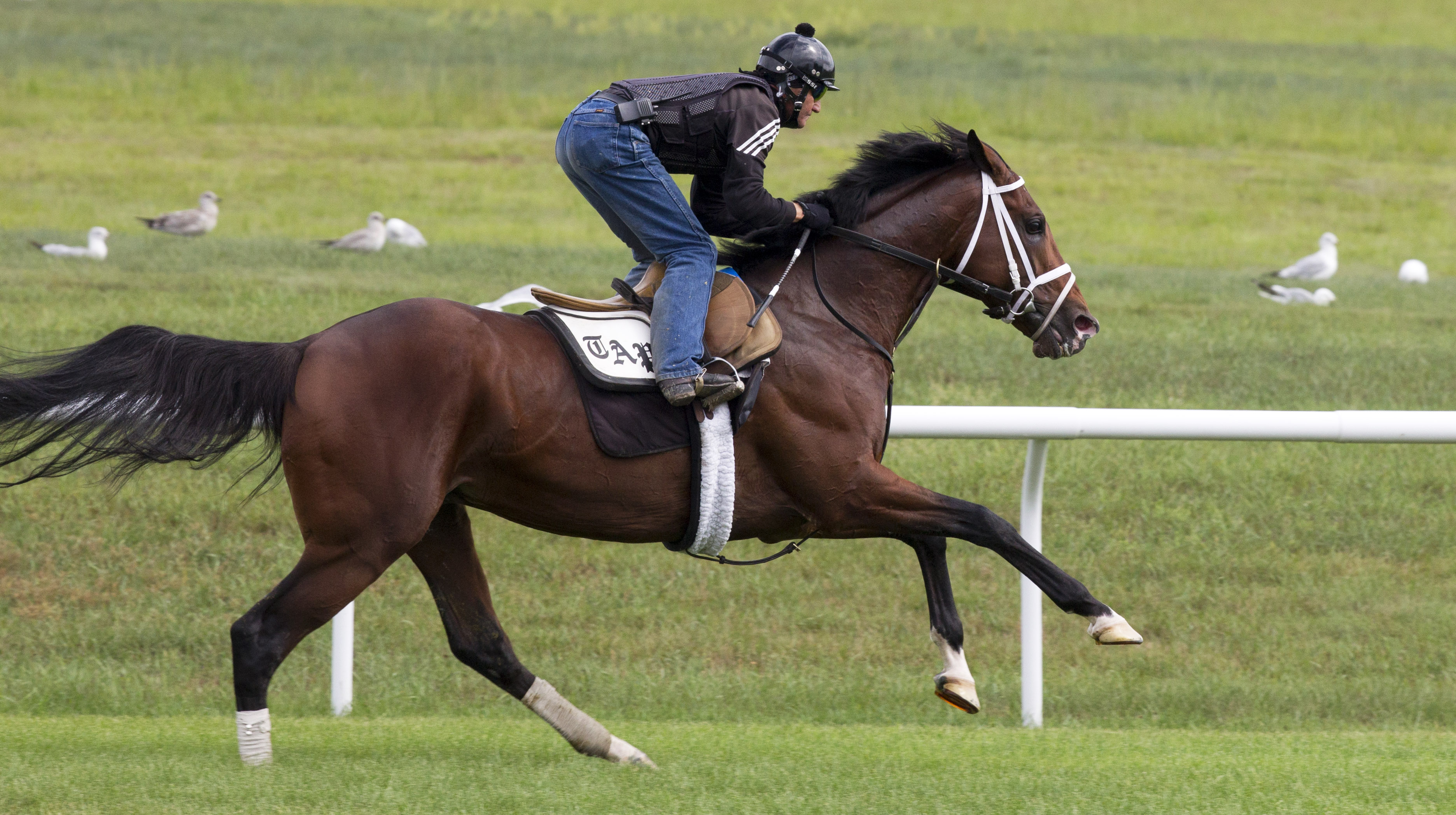 Ectot trains at Saratoga on August 1