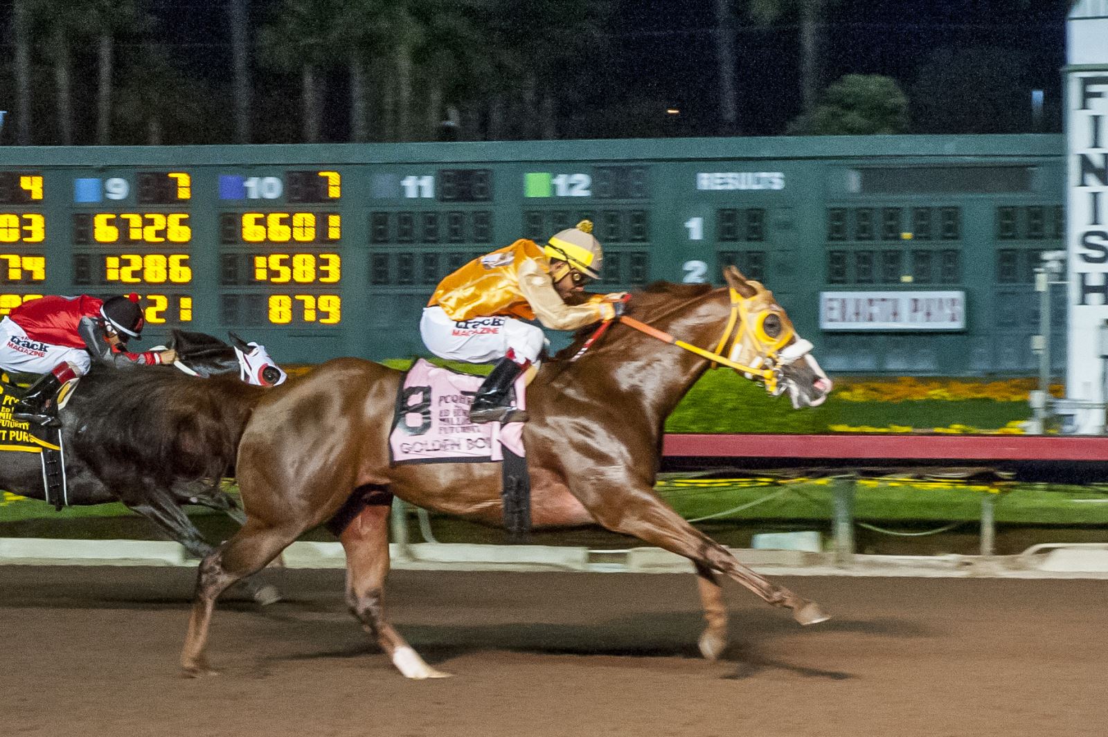 Golden Boi - Ed Burke Million Futurity 2021