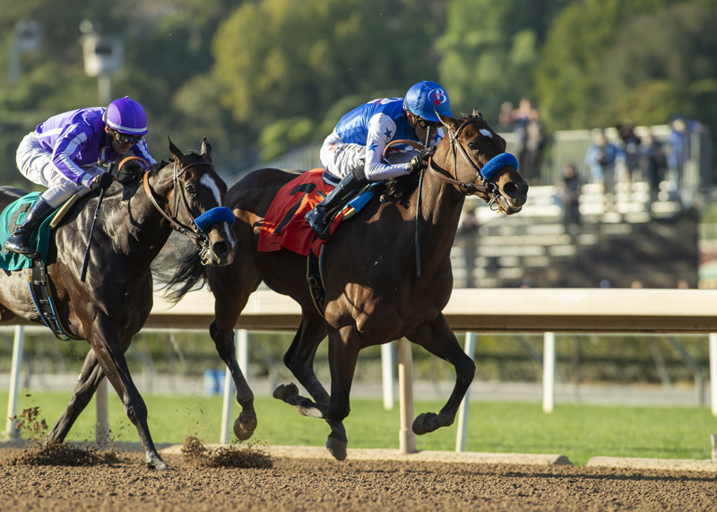 Eda wins Santa Ysabel 3-6-2022