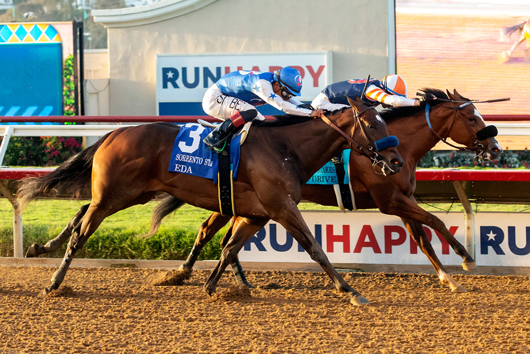 Eda (No. 3) finishes second in the 2021 Sorrento Stakes at Del Mar