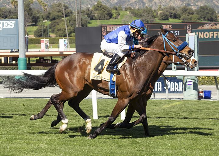 Eddie Haskell wins a Feb. 22 allowance at Santa Anita