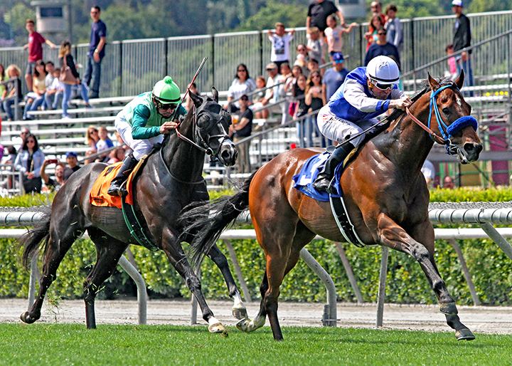 Eddie Haskell wins the 2019 Daytona Stakes at Santa Anita