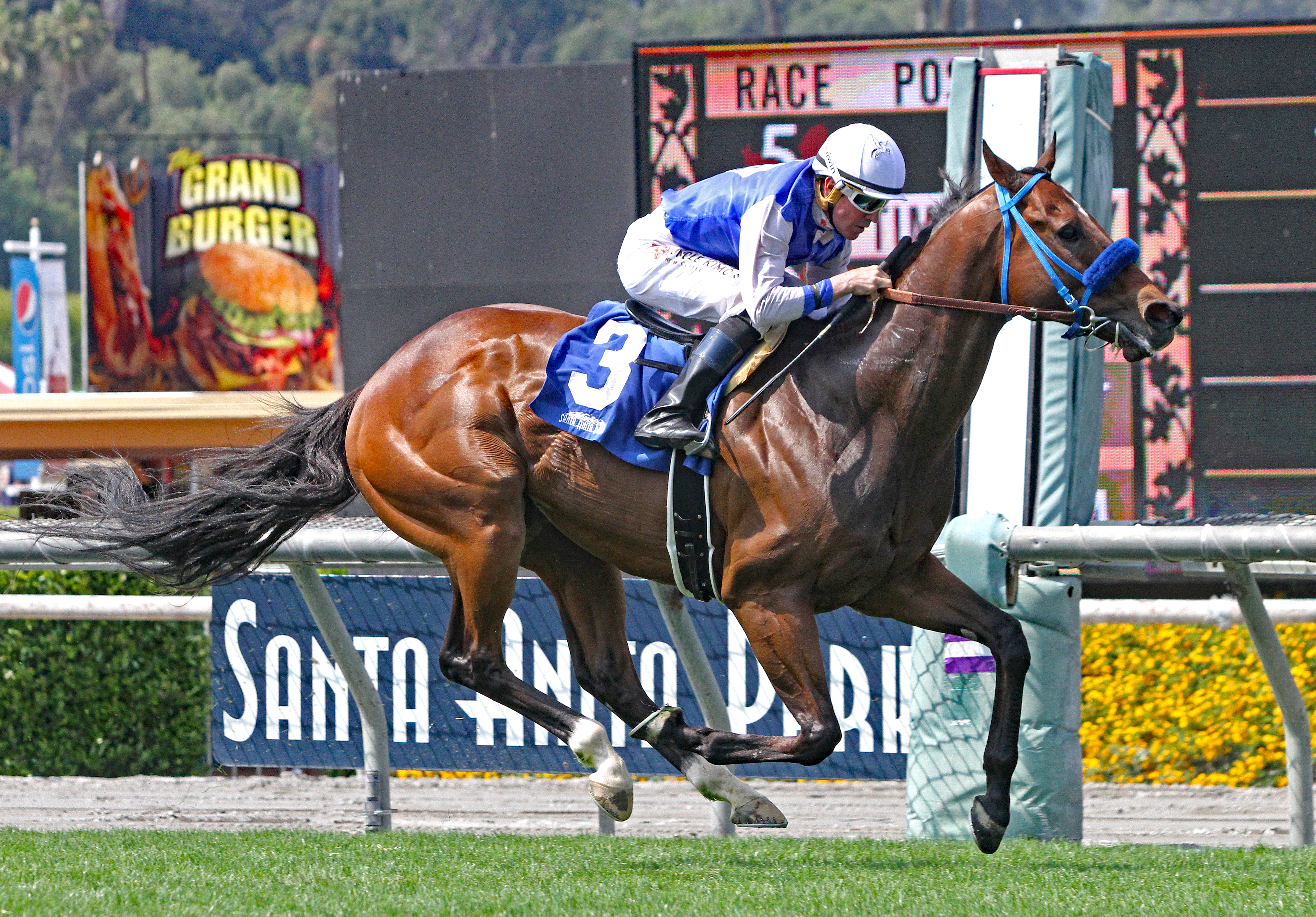 Eddie Haskell wins the 2019 Daytona Stakes