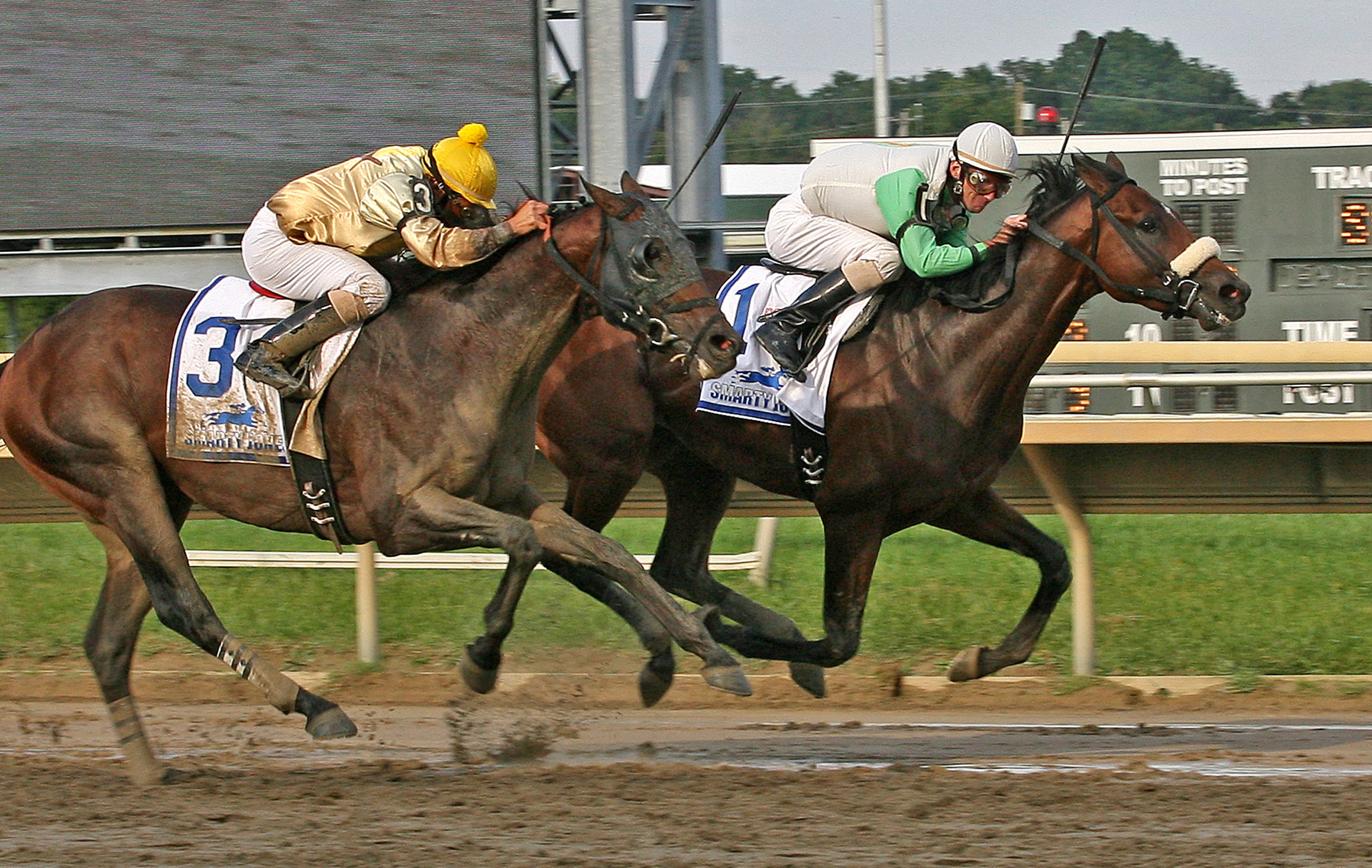 Speak Logistics, Edge of Reality, Smarty Jones Stakes