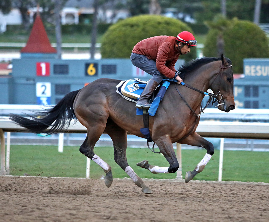 Edgeway trains at Santa Anita on Jan. 15, 2022