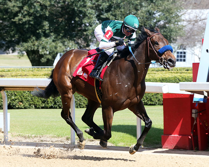 Edgeway wins a Feb. 29 maiden race at Oaklawn Park