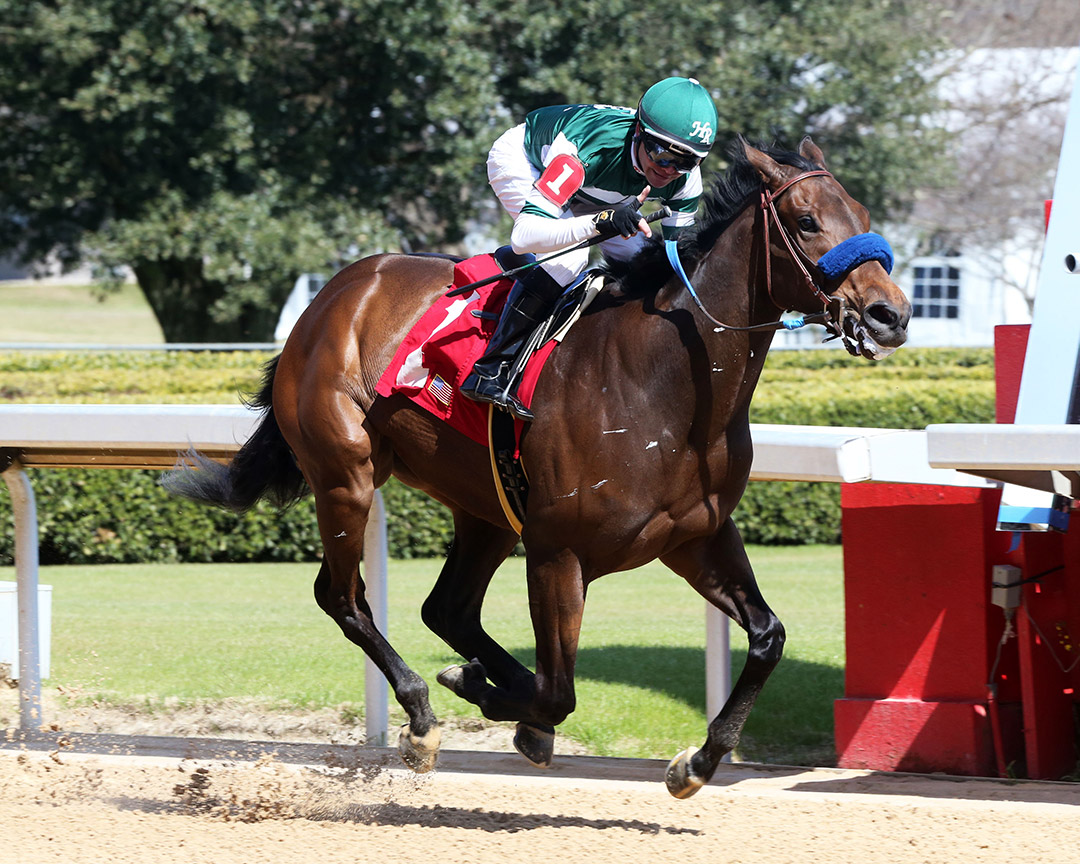 Edgeway wins a February 2020 maiden race at Oaklawn