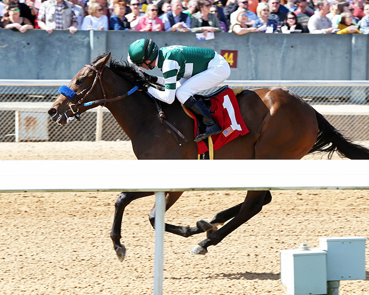Edgeway wins a Feb. 29 maiden race at Oaklawn Park