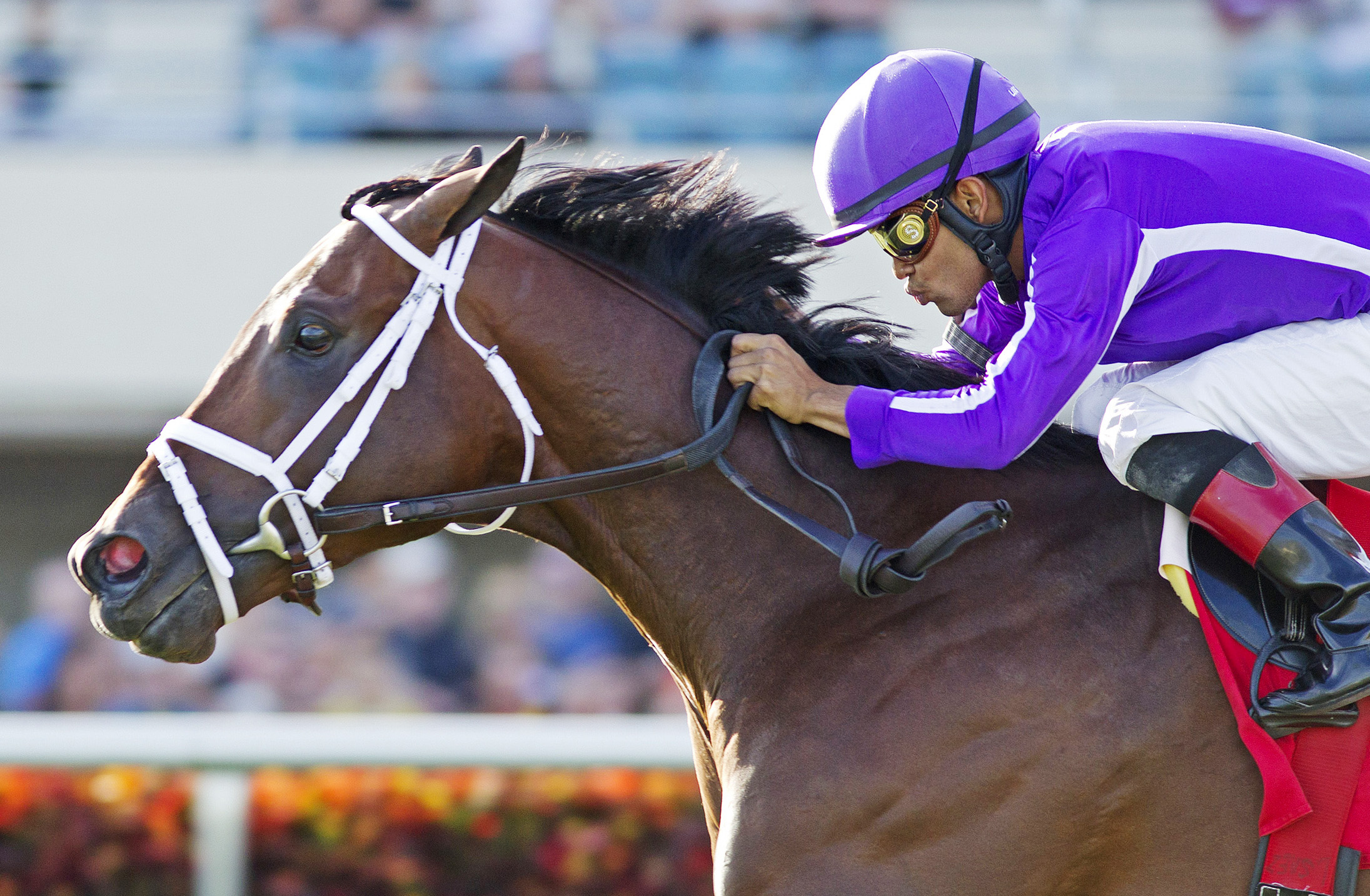 Edison wins a maiden race