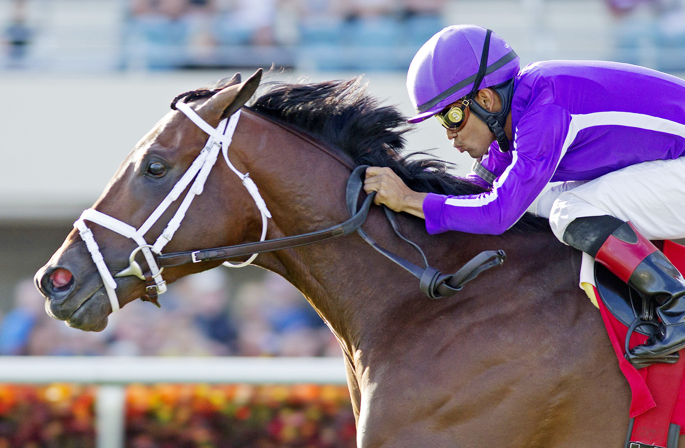 Edison wins a maiden race