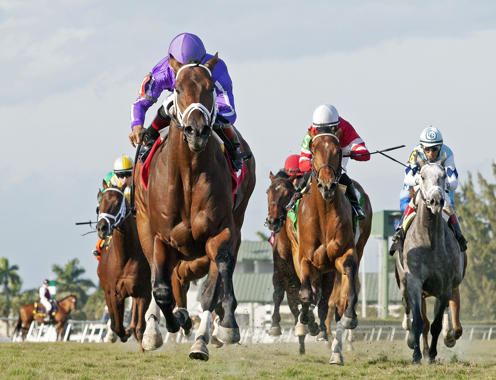 Edison wins a maiden race