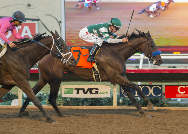 Edwards Going Left wins Cary Grant