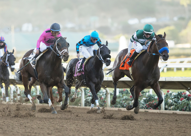 Edwards Going Left wins the 2017 Cary Grant Stakes