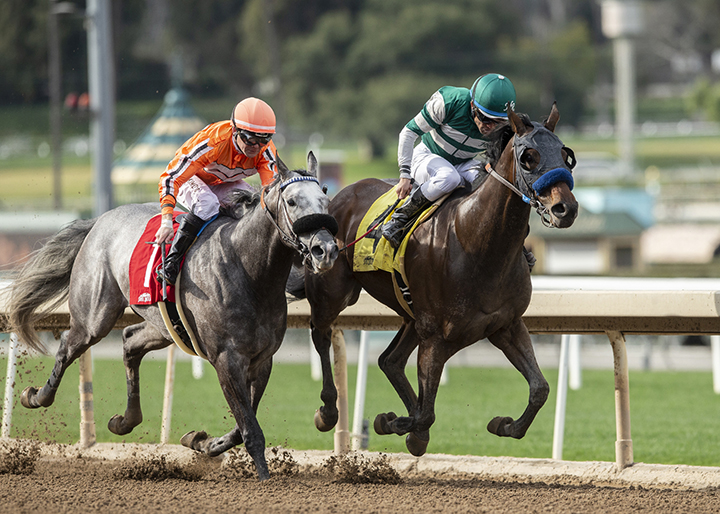 King Abner finishes second in the 2019 Tiznow Stakes