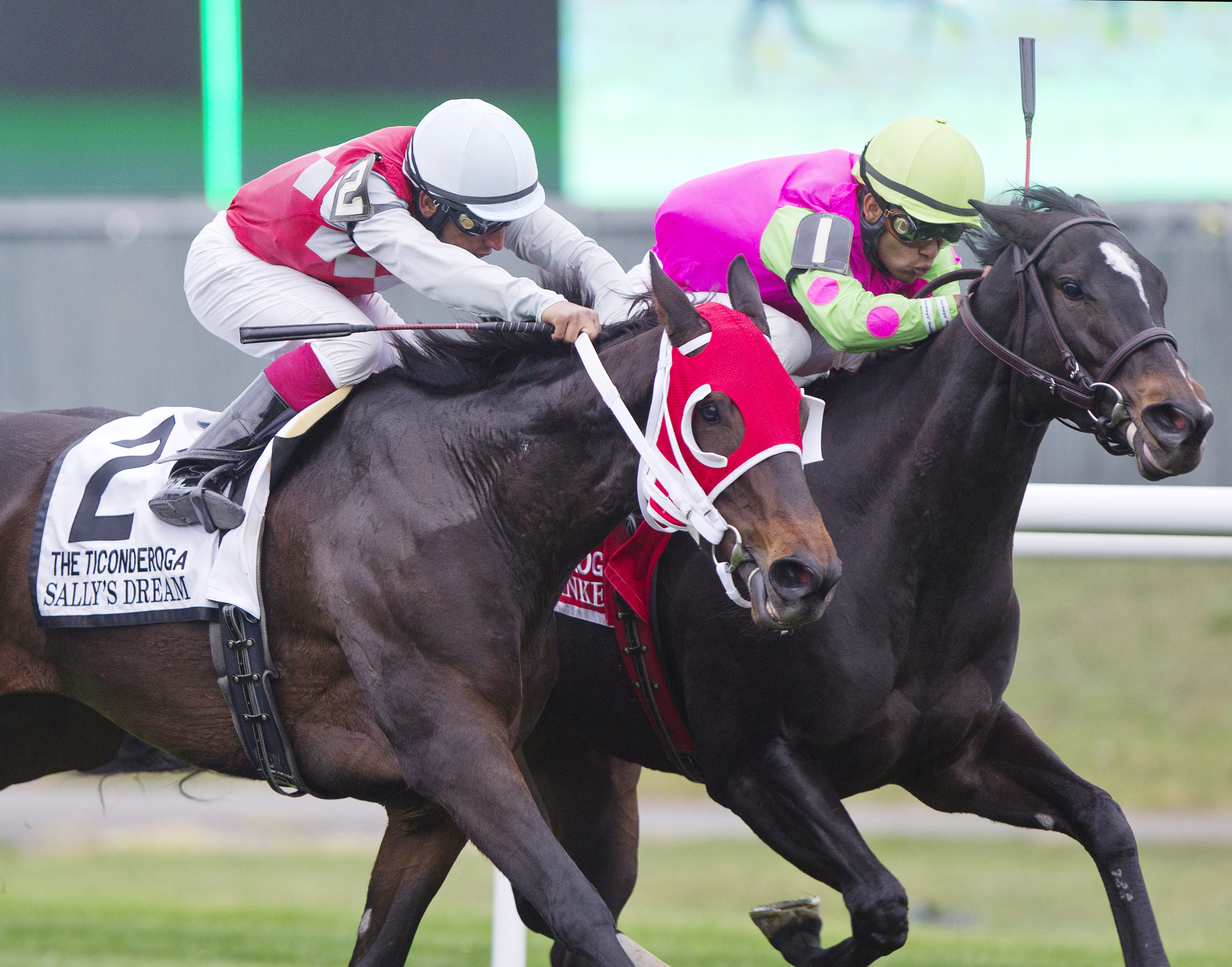 Effie Trinket wins the Ticonderoga Stakes