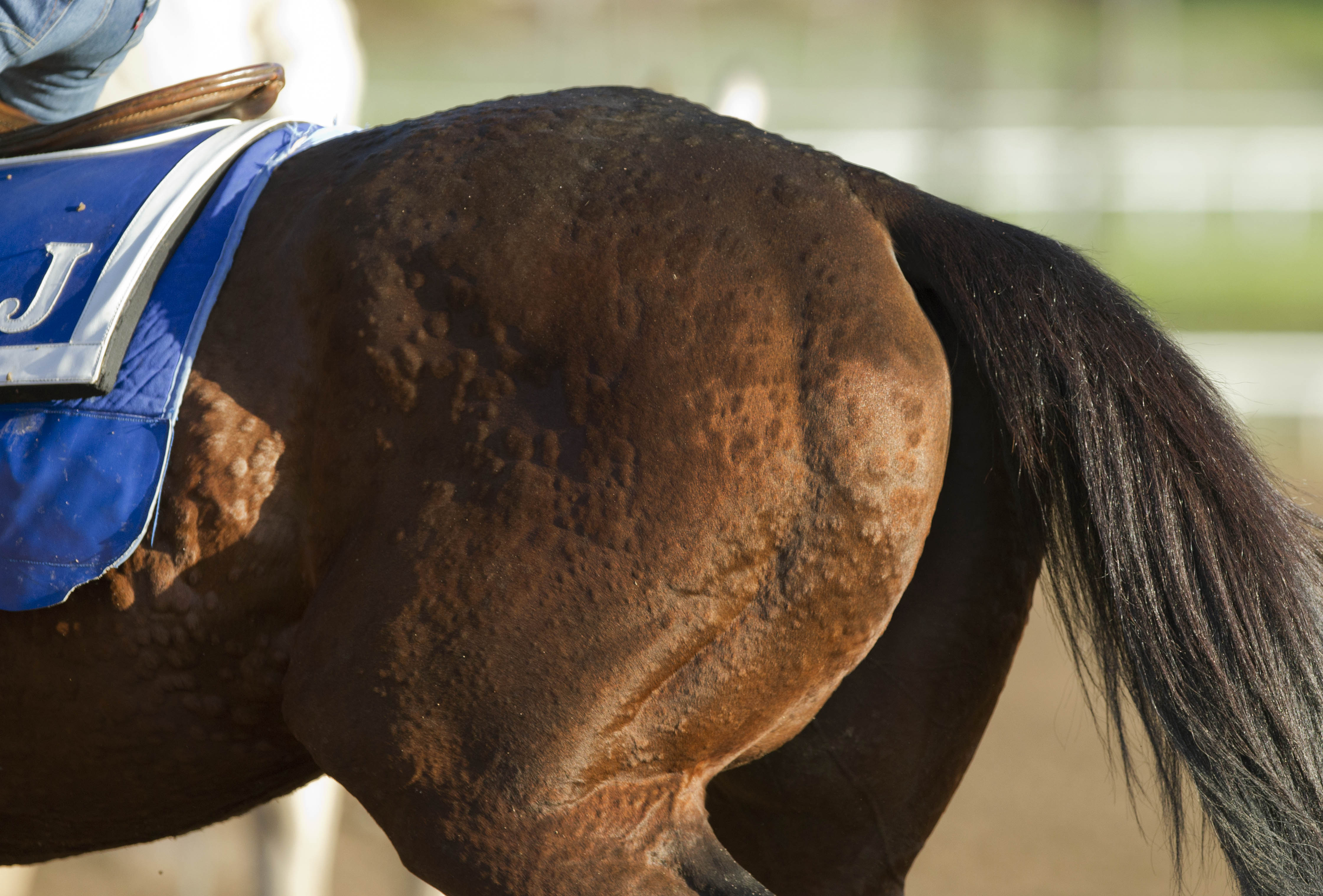 Effinex 3-12-16