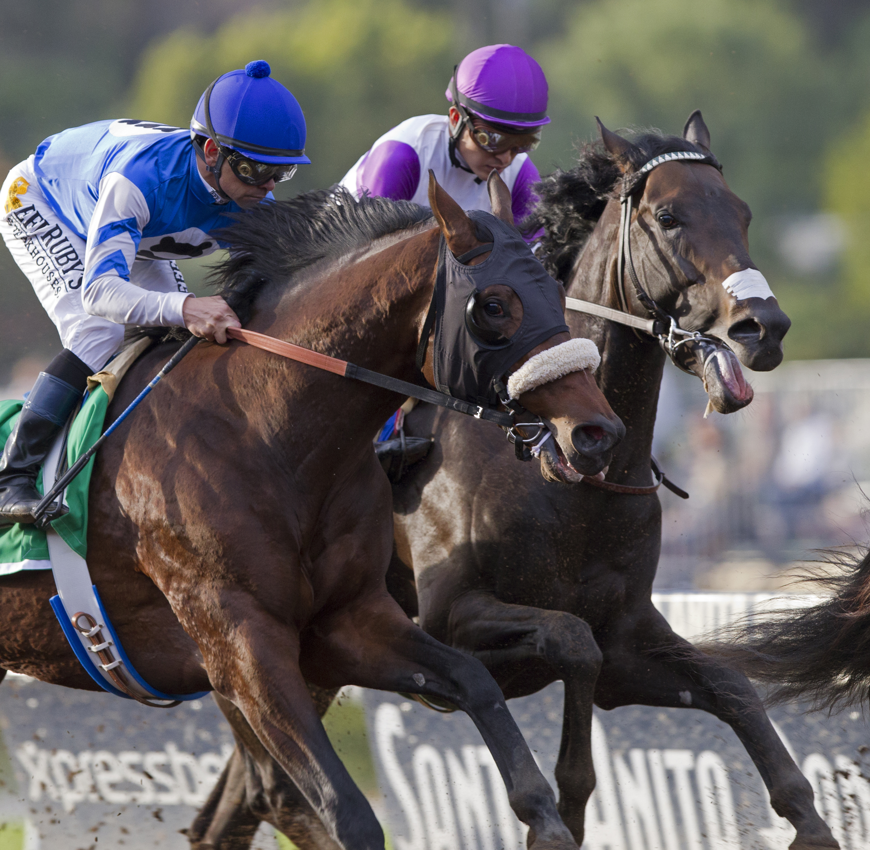 Donworth in the Santa Anita Handicap