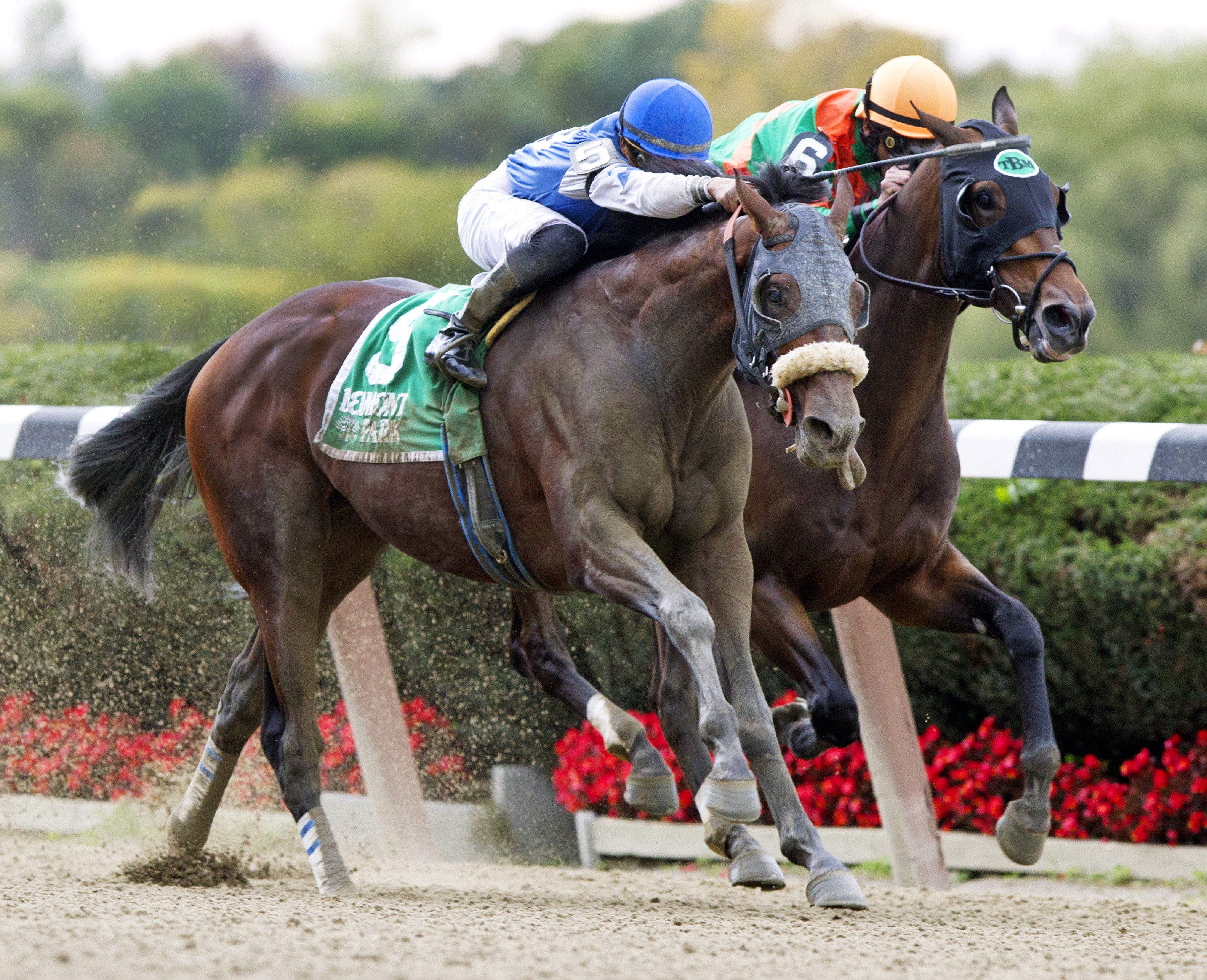 Effinex wins the Empire Classic