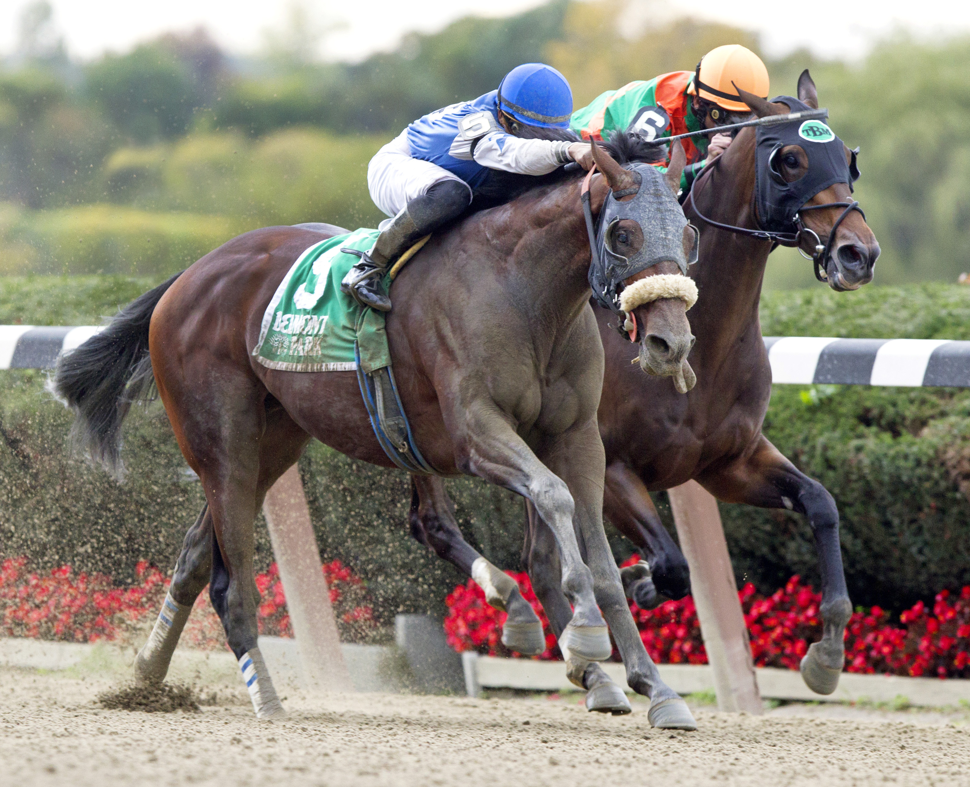 Effinex wins the Empire Classic Handicap