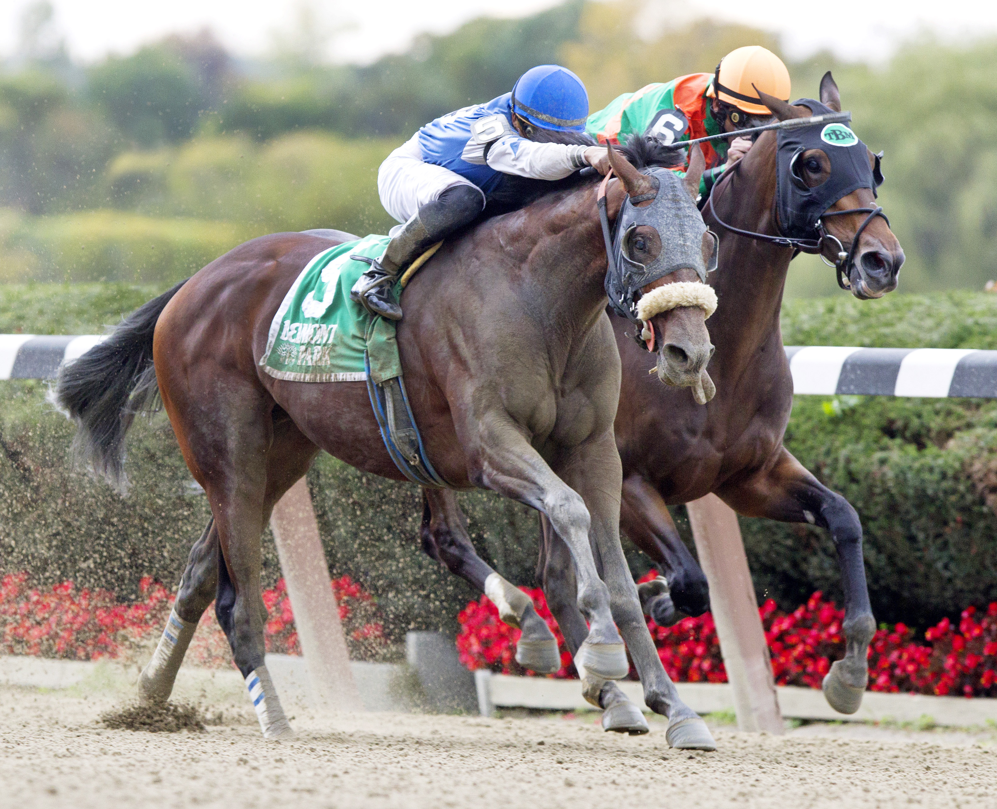 Effinex wins the Empire Classic Handicap