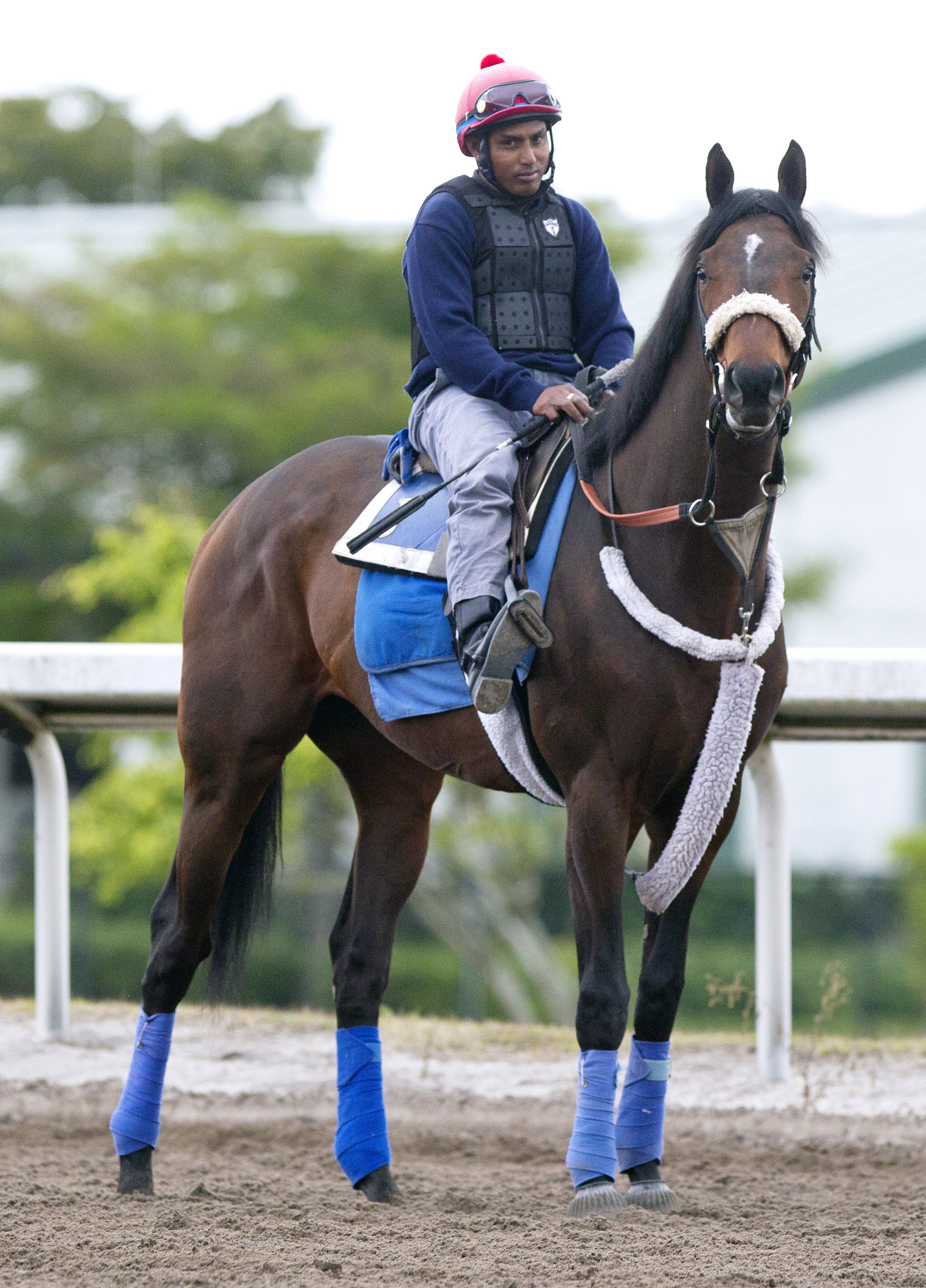 Effinex at Gulfstream Park on Feb. 21