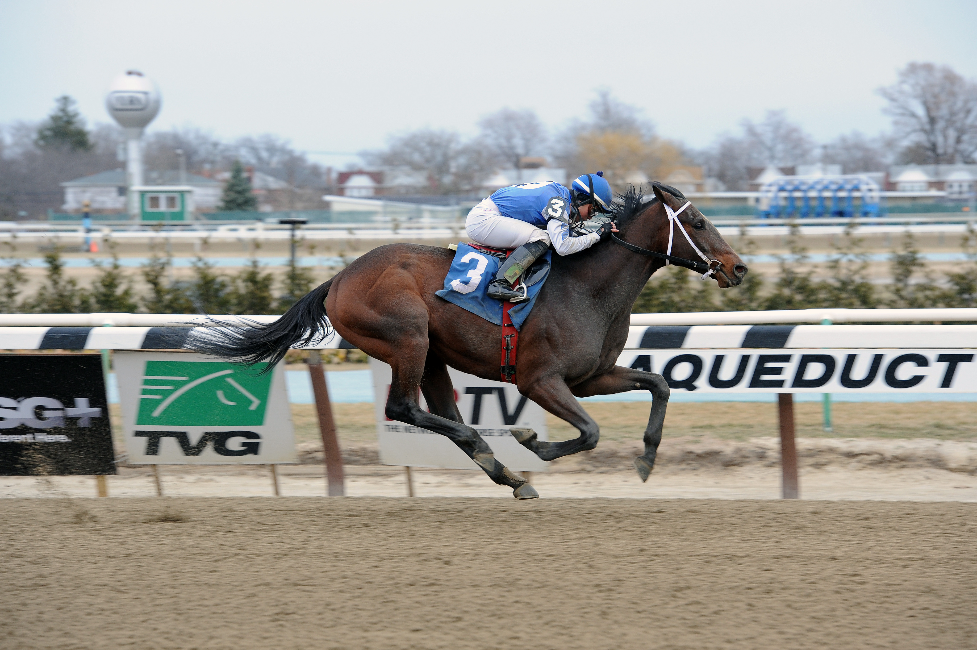 Effinex wins an optional claimer