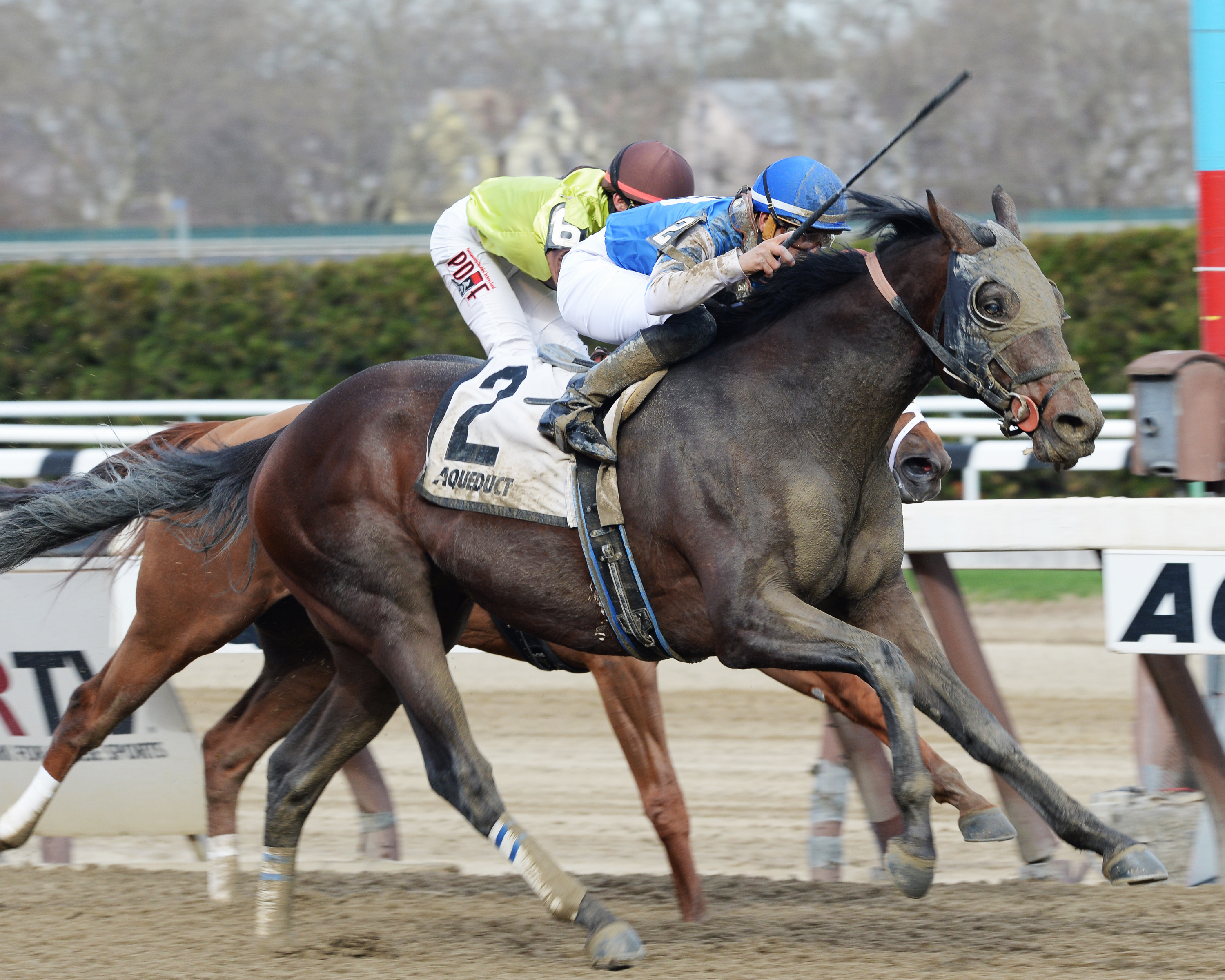 Effinex wins the Excelsior