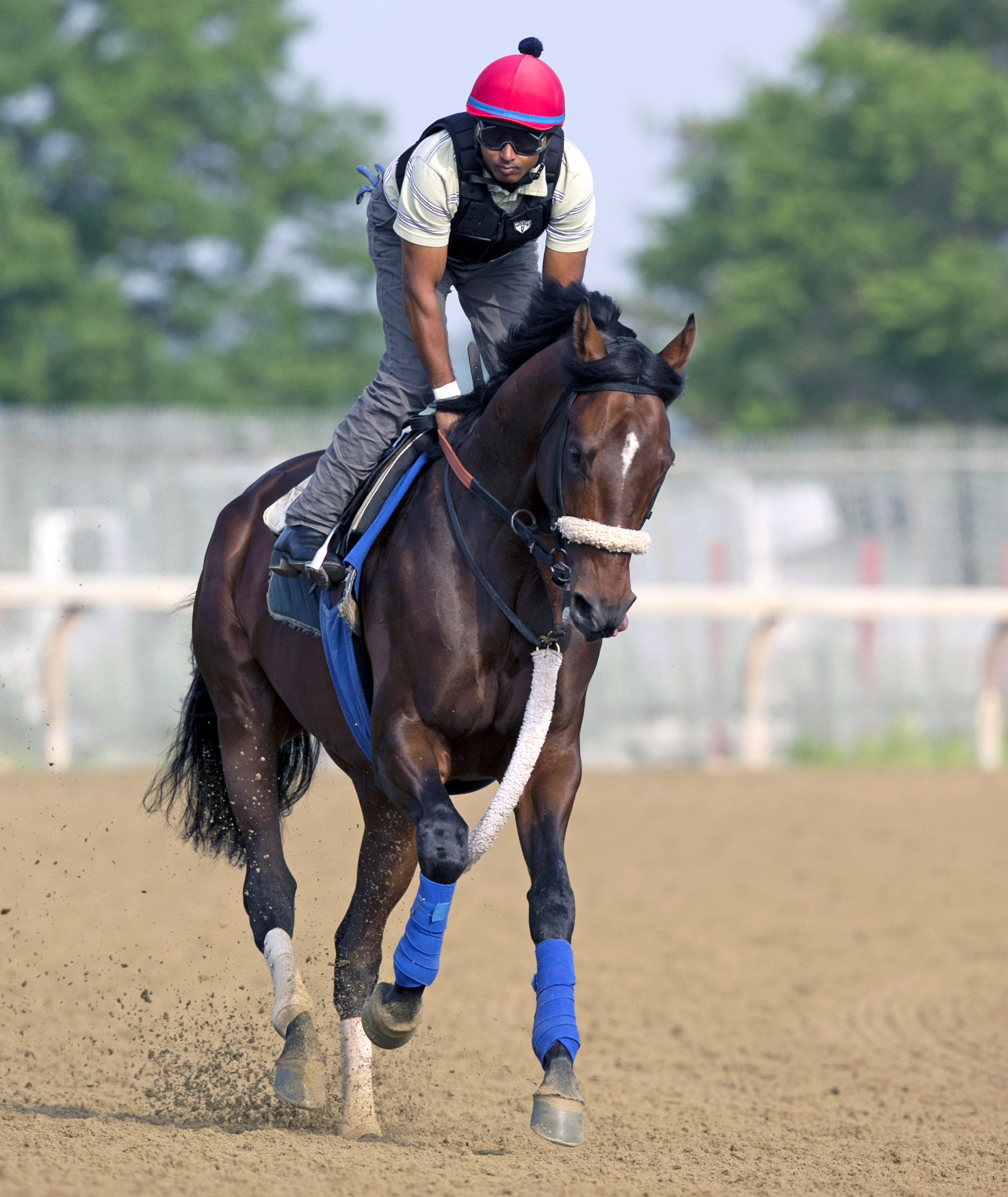 Effinex at Belmont Park on June 6