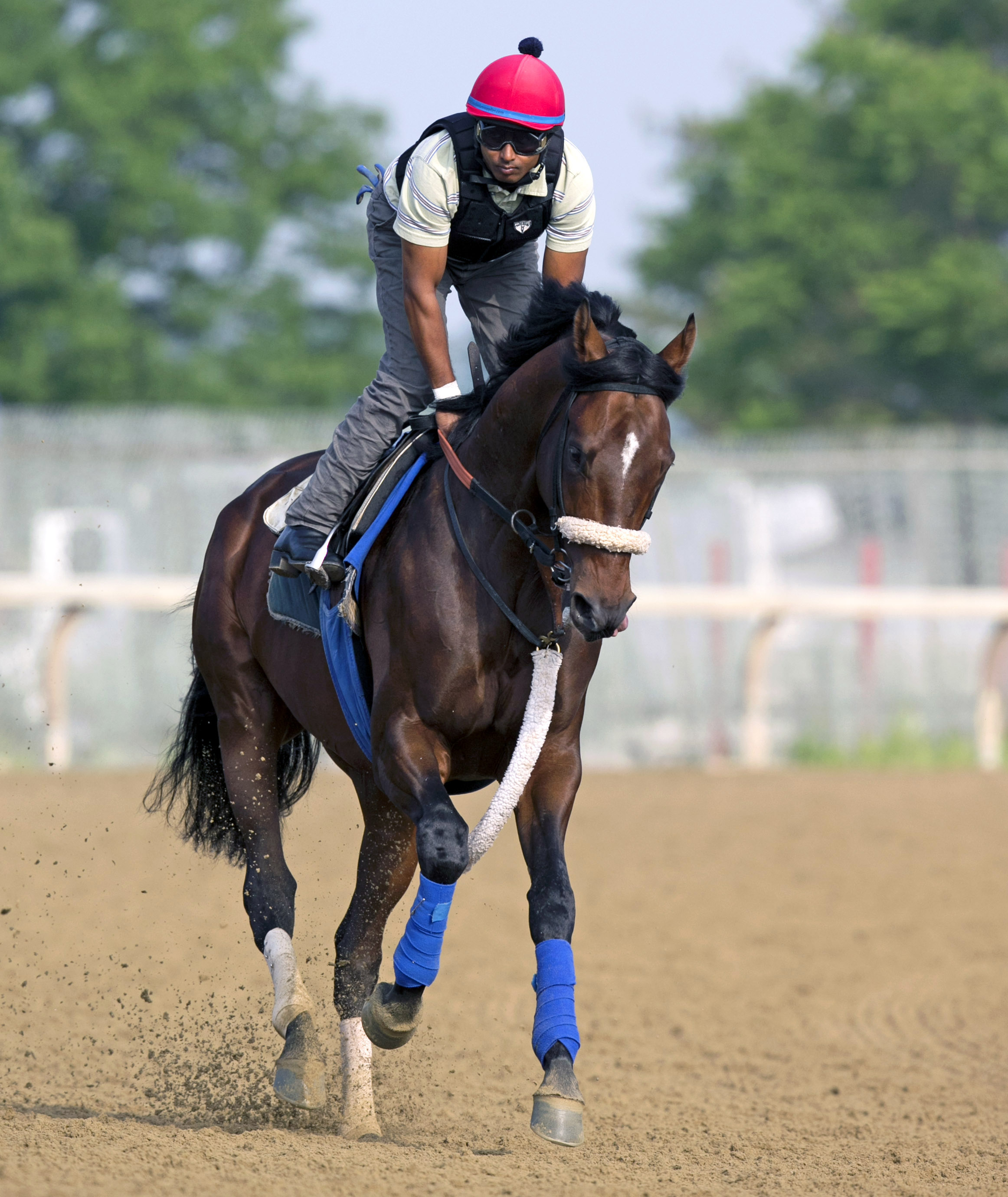 Effinex trains at Belmont Park on June 6