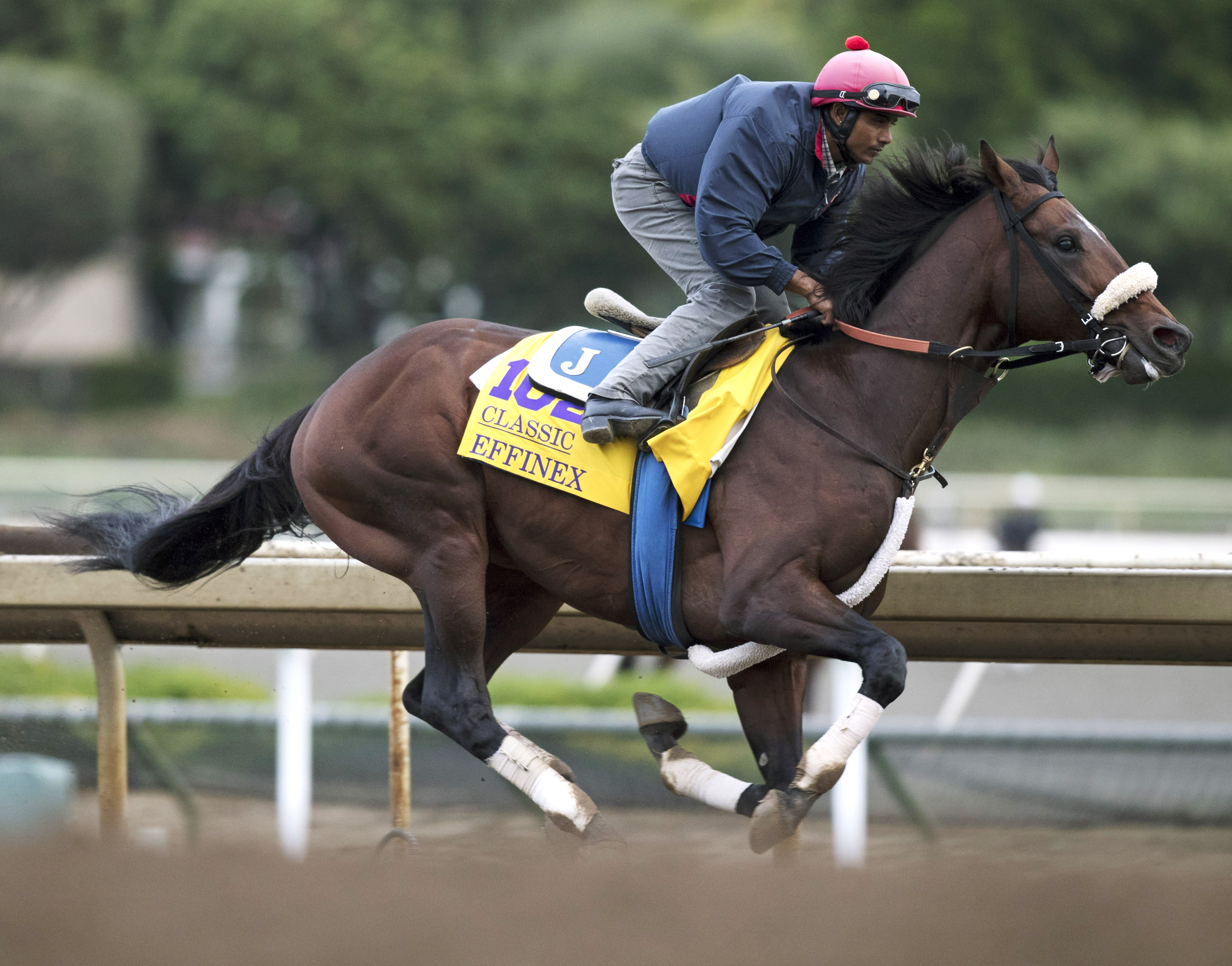 Effinex trains at Santa Anita on Oct. 31