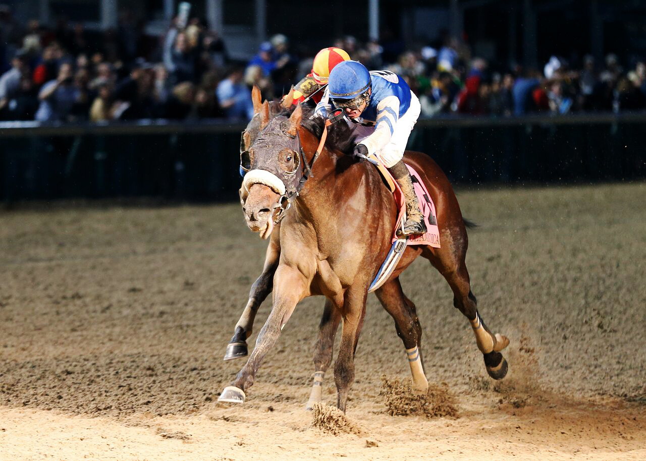 Effinex wins the Clark Handicap