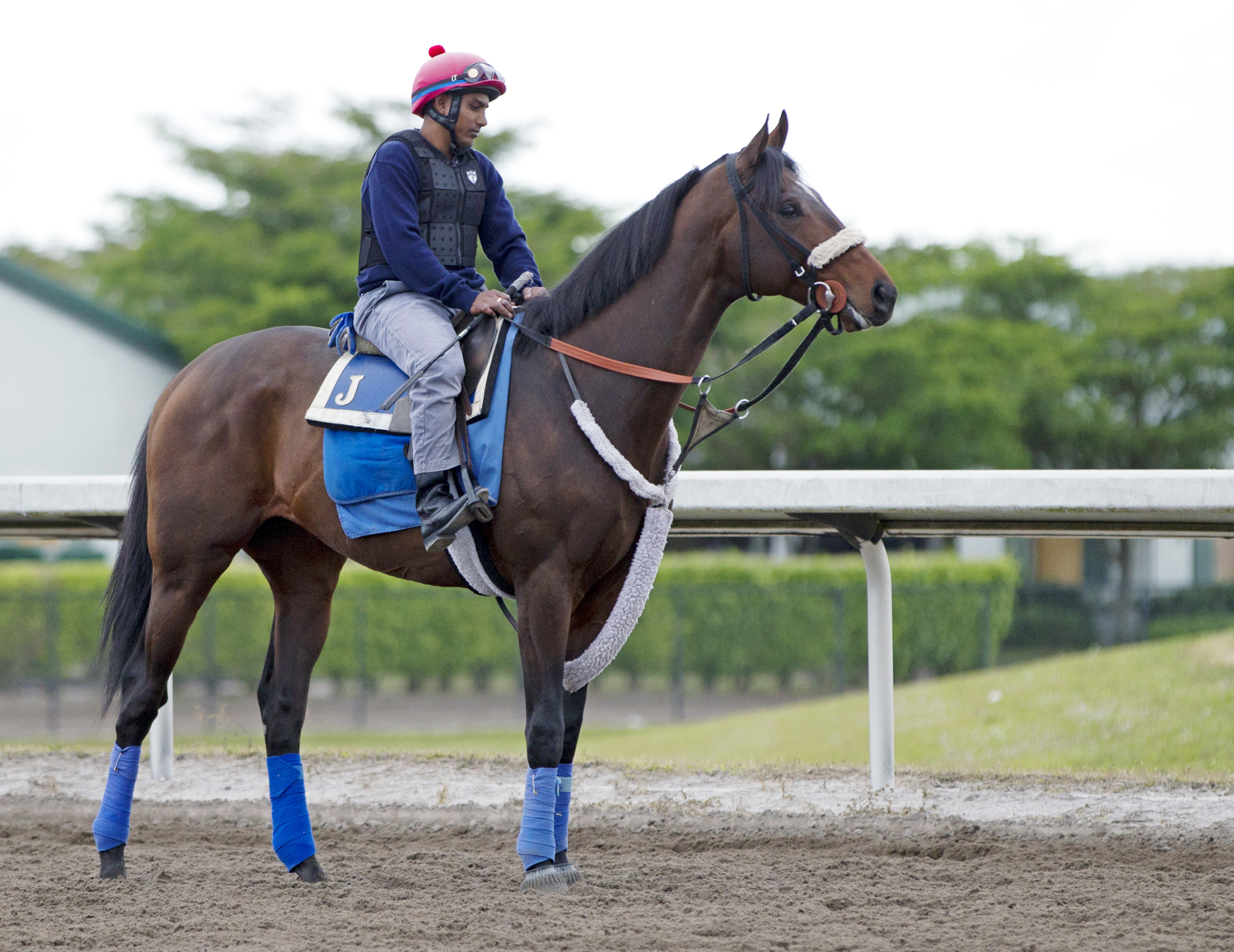 Effinex at Gulfstream Park on Feb. 21