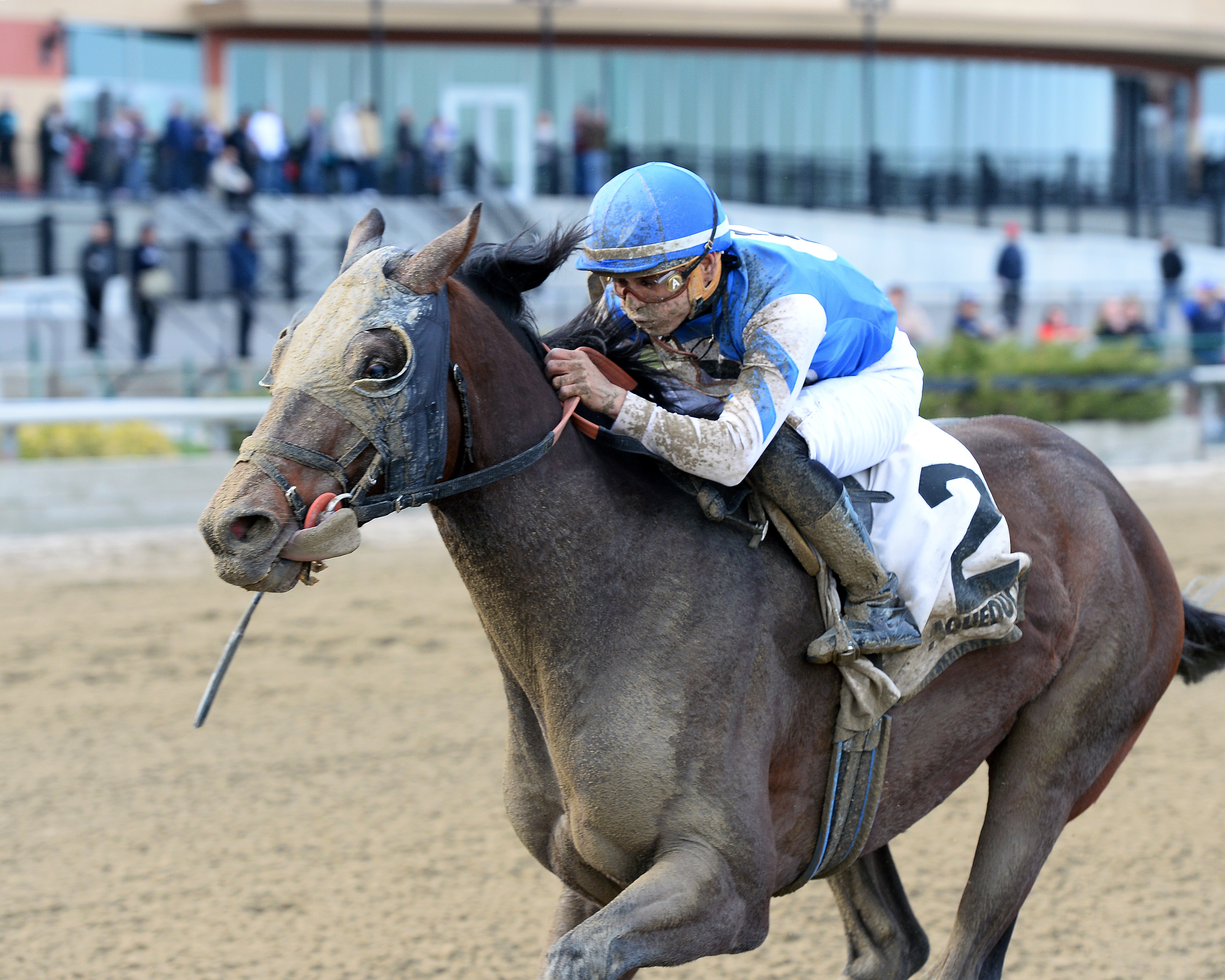 Effinex wins the Excelsior
