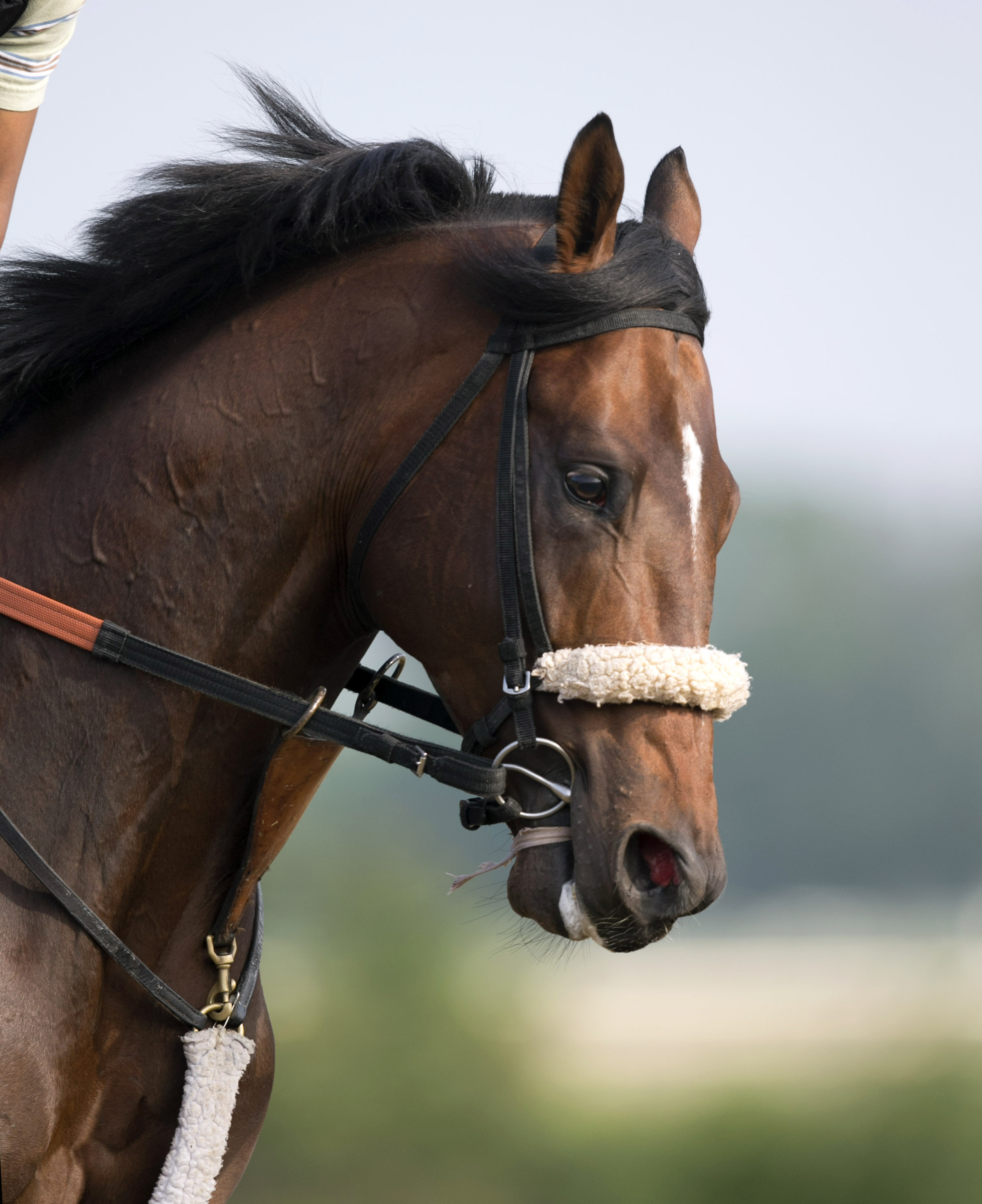Effinex