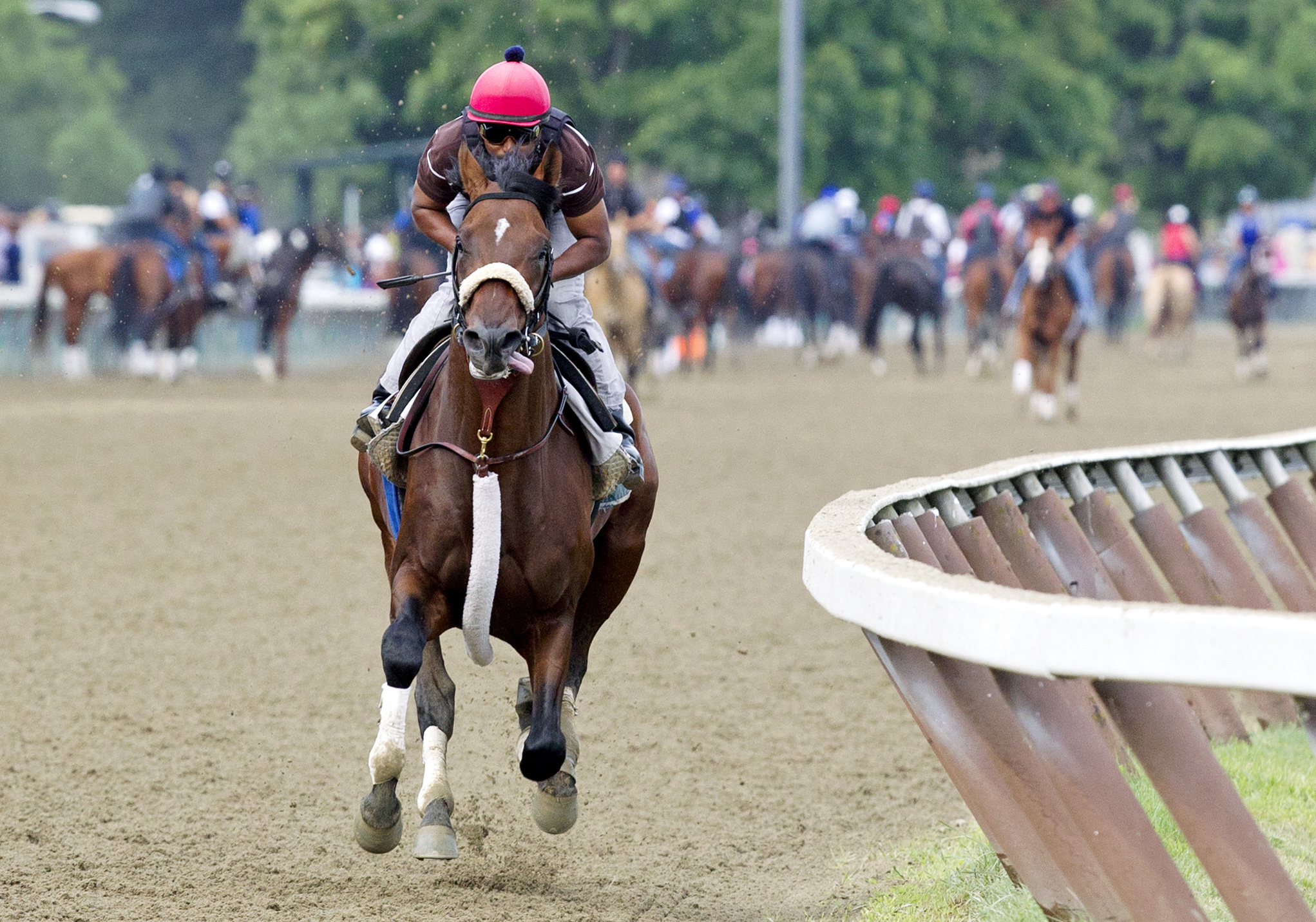 Effinex trains at Saratoga on July 30