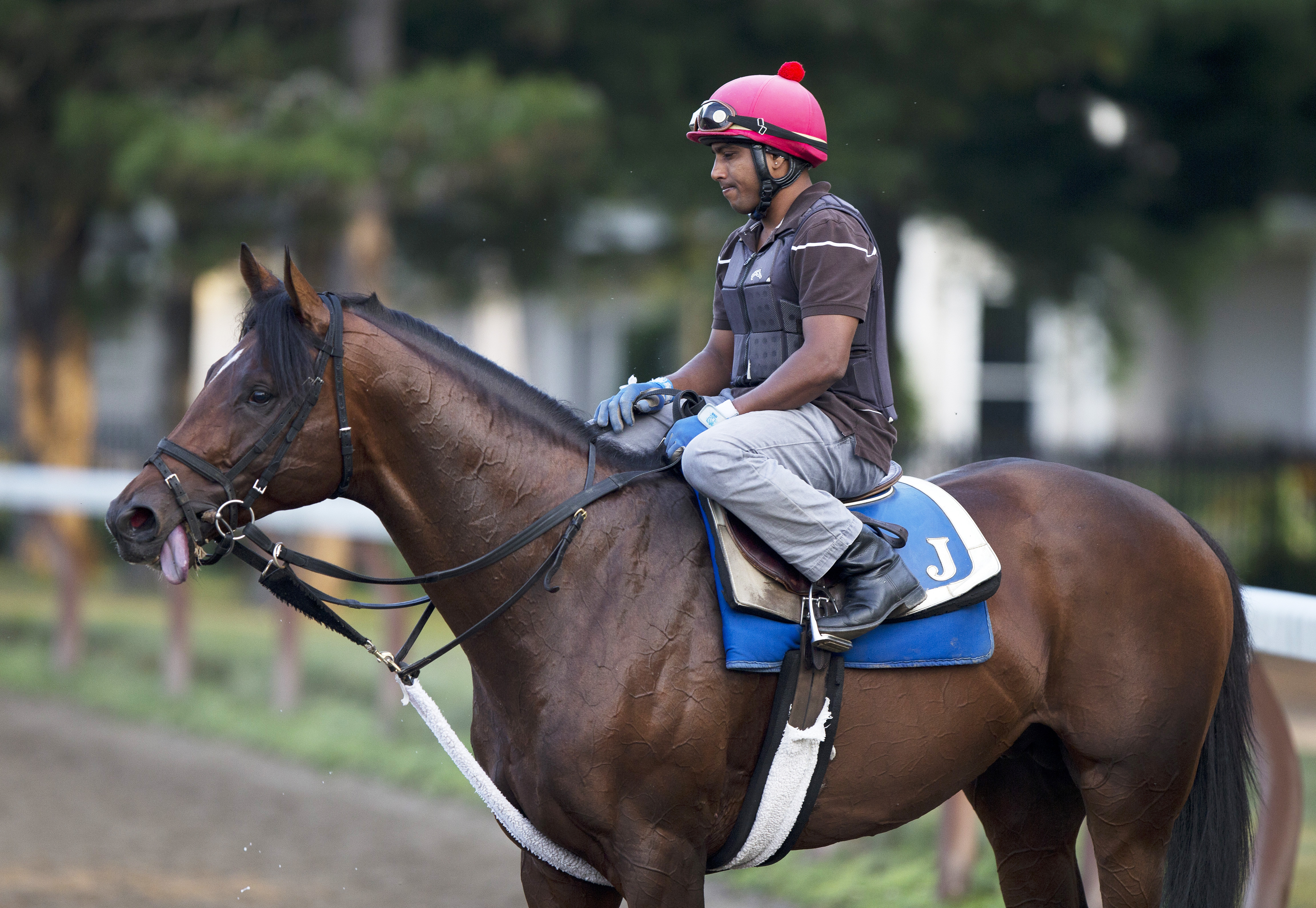 Effinex at Saratoga on July 29