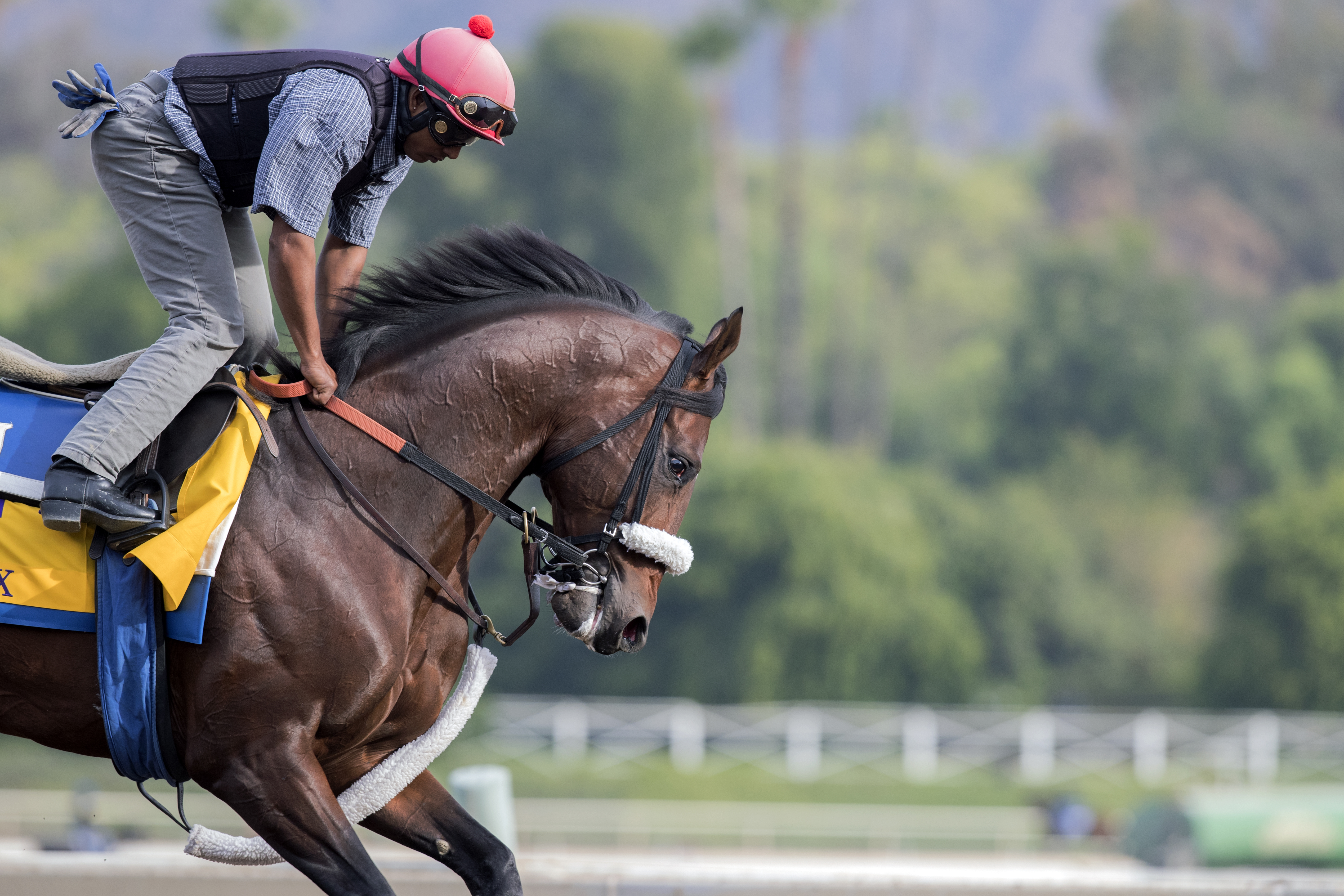 Effinex trains at Santa Anita on Oct. 27