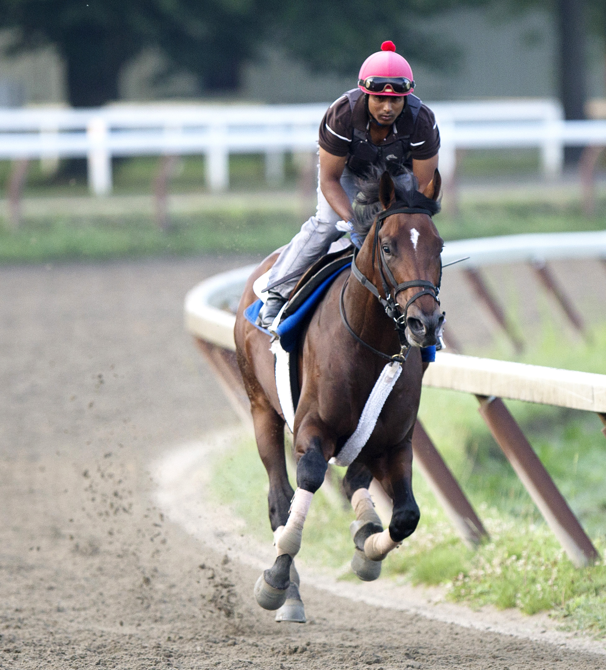 Effinex trains at Saratoga on July 29