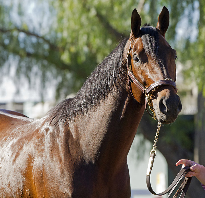 Effinex in 2016