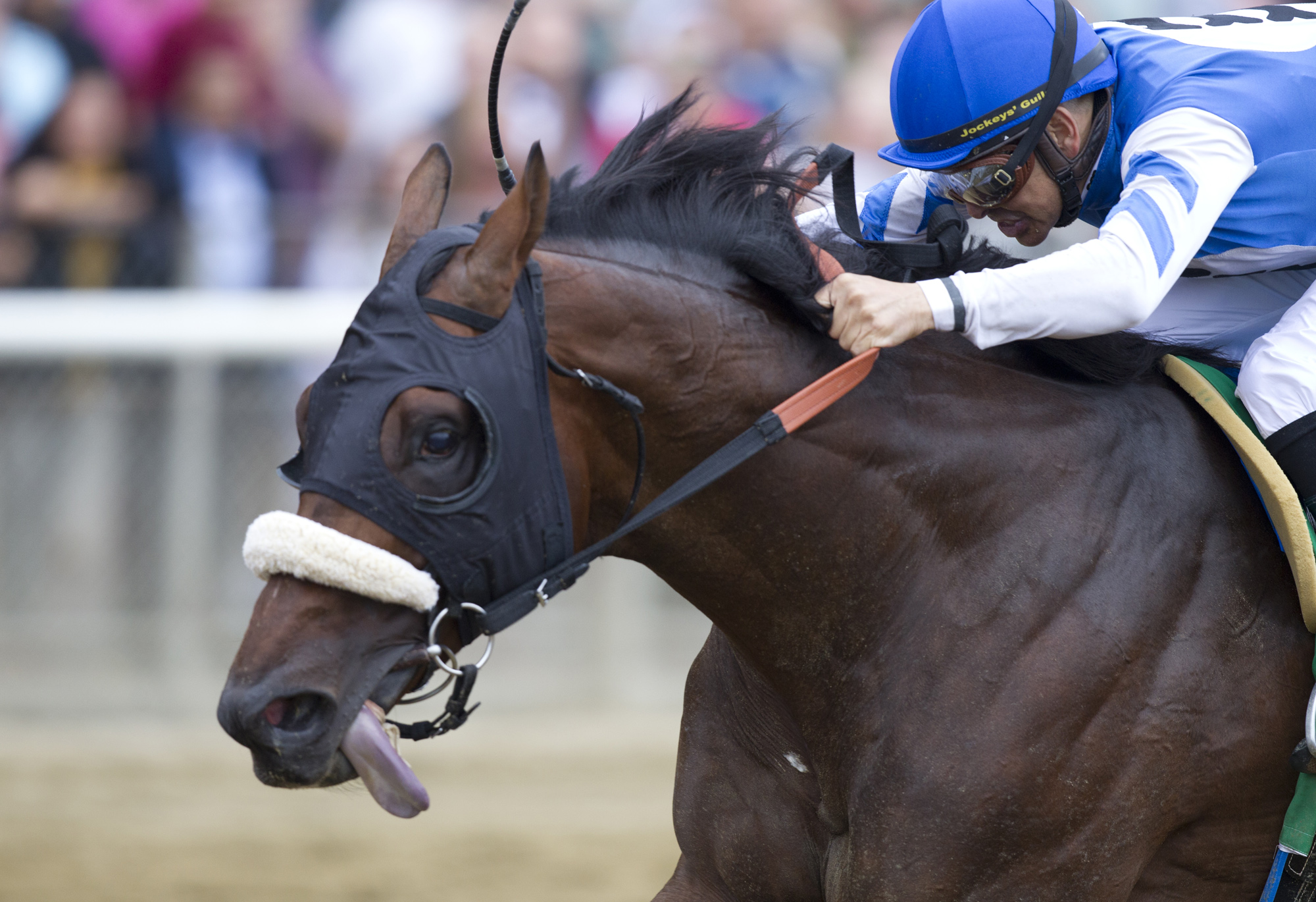 Effinex wins the Grade 2 Suburban
