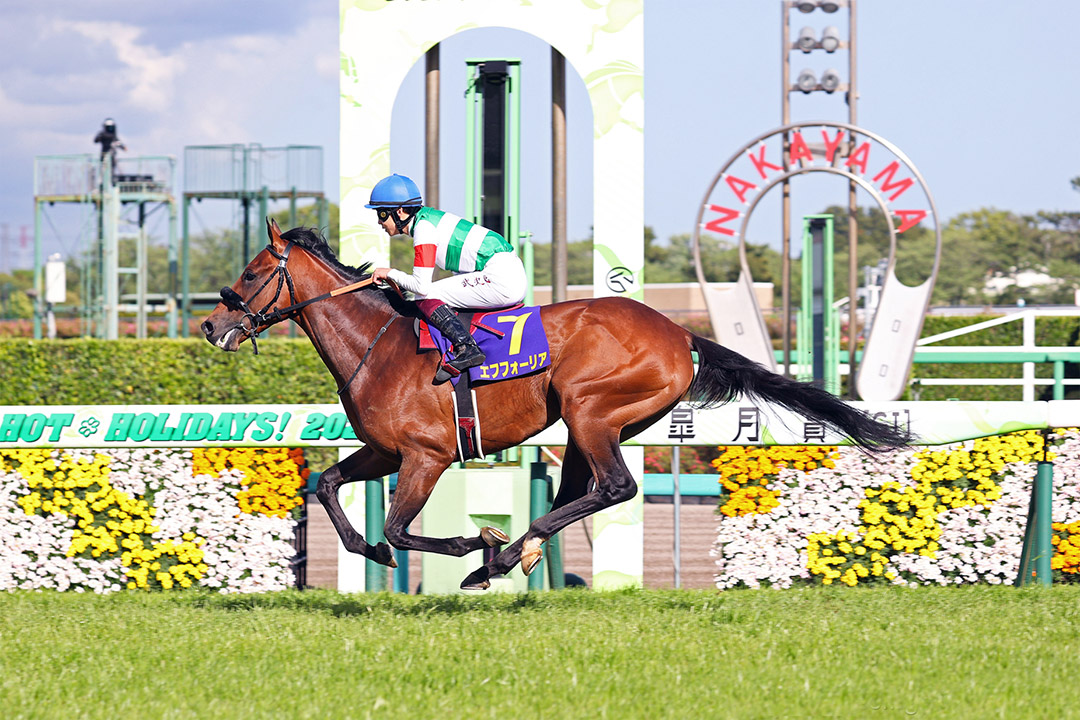 Efforia wins the 2021 Satsuki Sho (Japanese 2000 Guineas) at Nakayama Racecourse