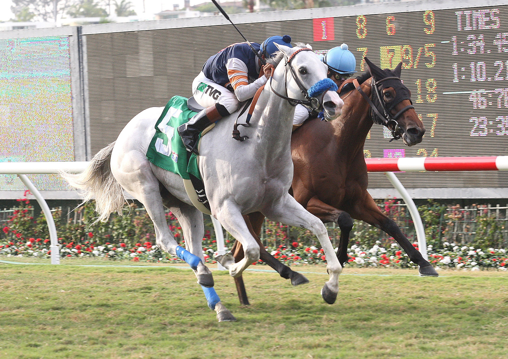 Egg Drop, Yellow Ribbon Handicap