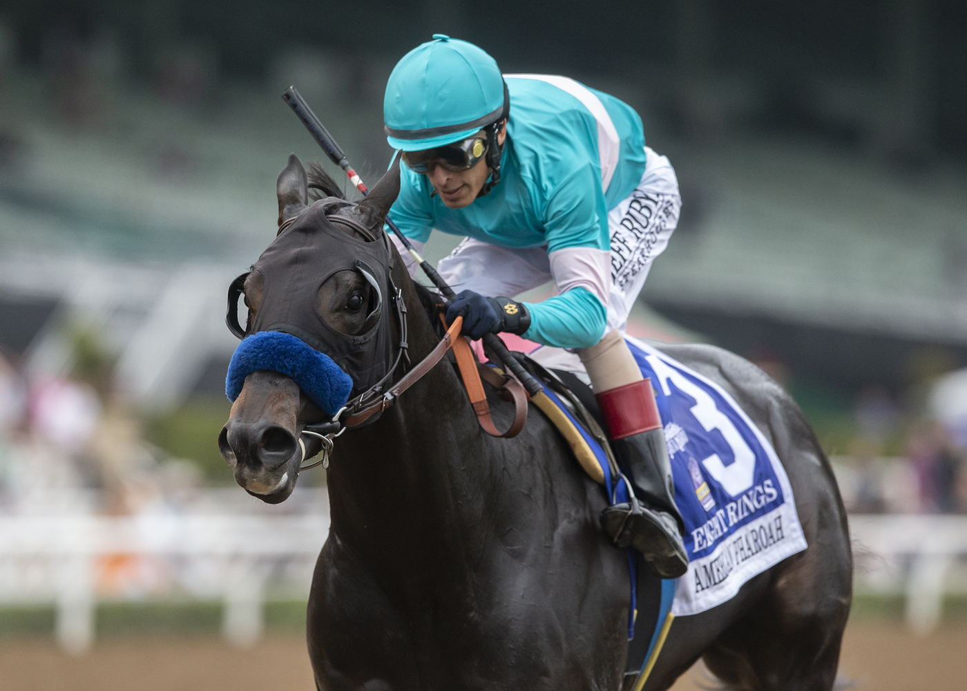 Eight Rings wins the 2019 American Pharoah Stakes
