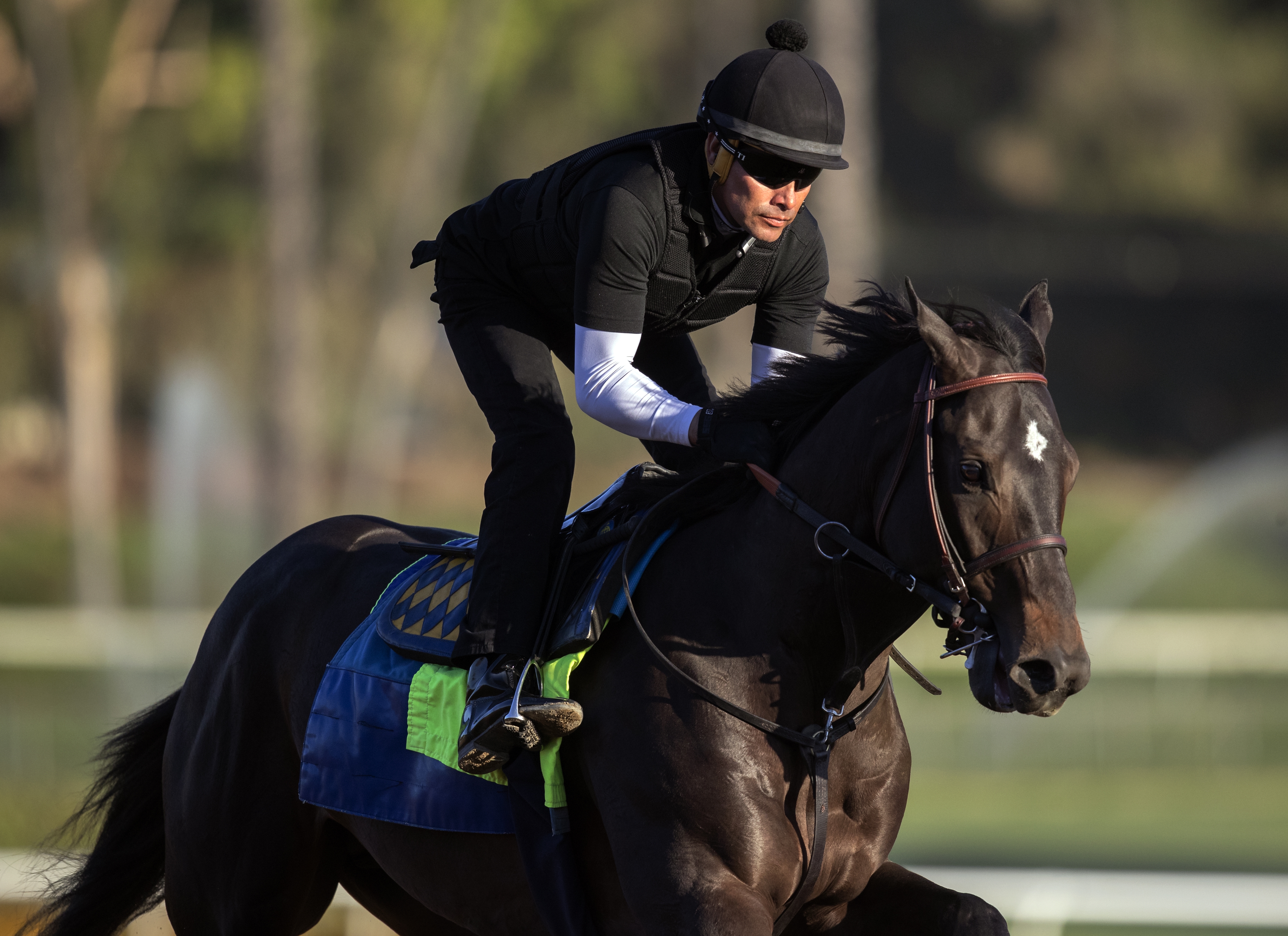 Eight Rings trains at Santa Anita on 10.19.19