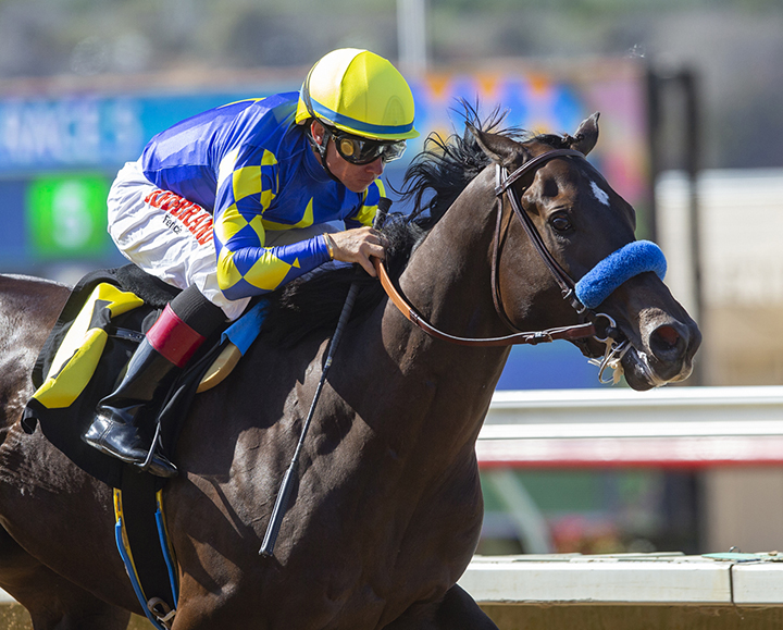 Eight Rings wins his career debut on Aug. 4 at Del Mar