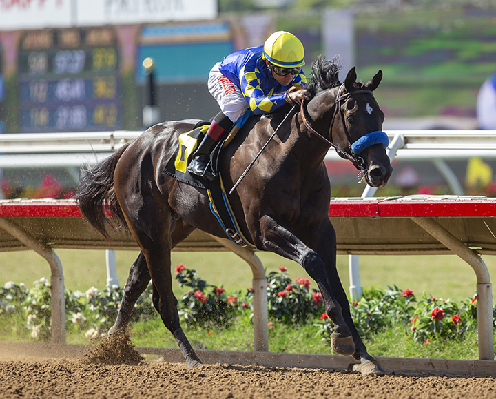 Eight Rings wins his career debut on Aug. 4 at Del Mar