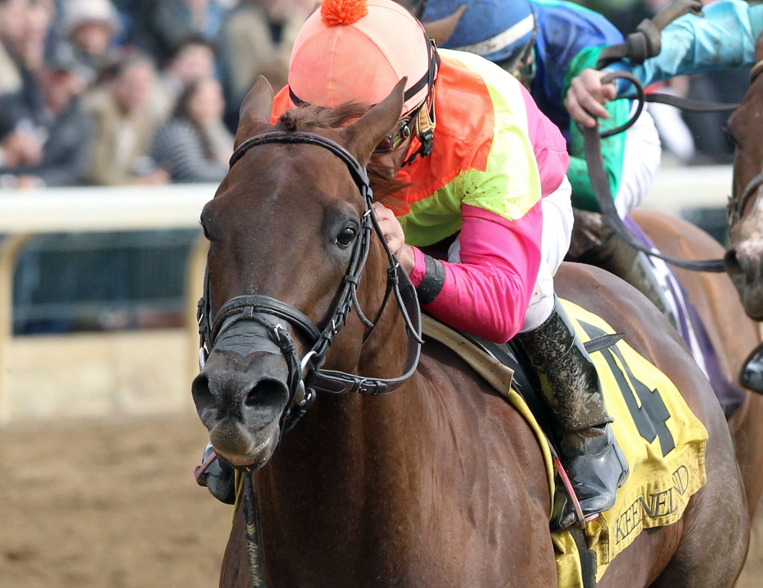 Eight Town wins an Oct. 25 allowance