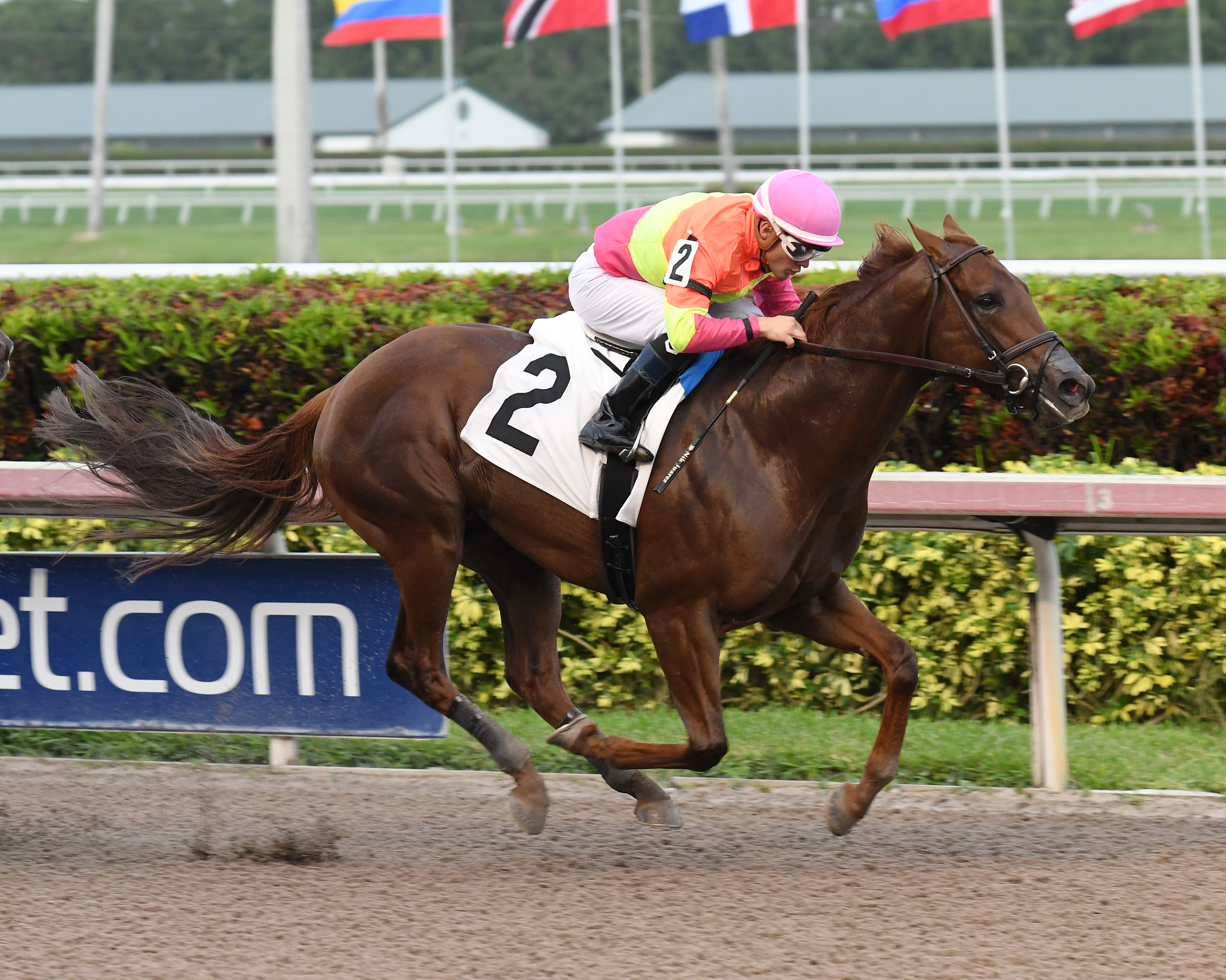 Eight Town wins a Dec. 7 allowance