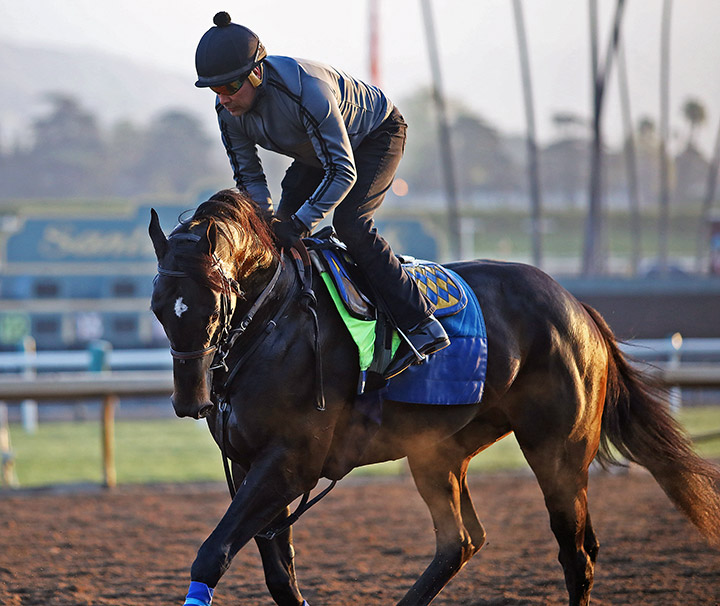 Eight Rings trains at Santa Anita Park on Feb. 24